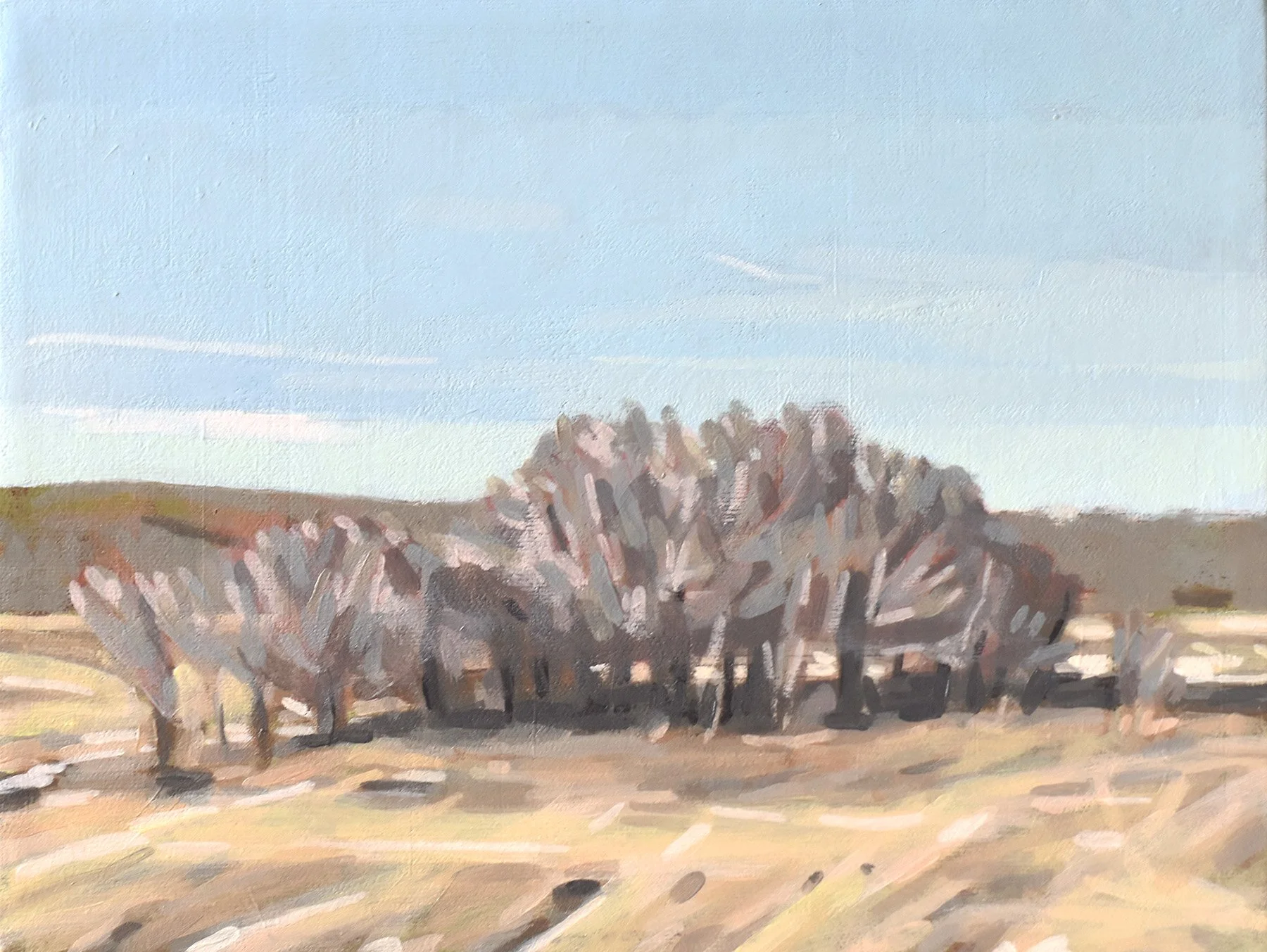 2026 Burmeister February Trail Light