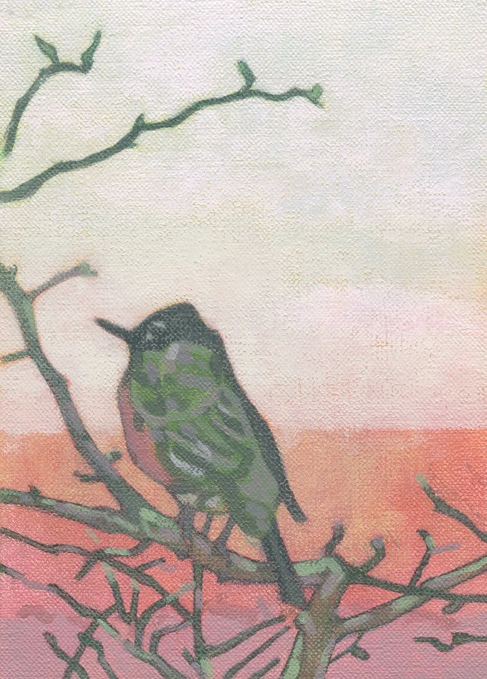 2026 Burmeister Brave Thrush