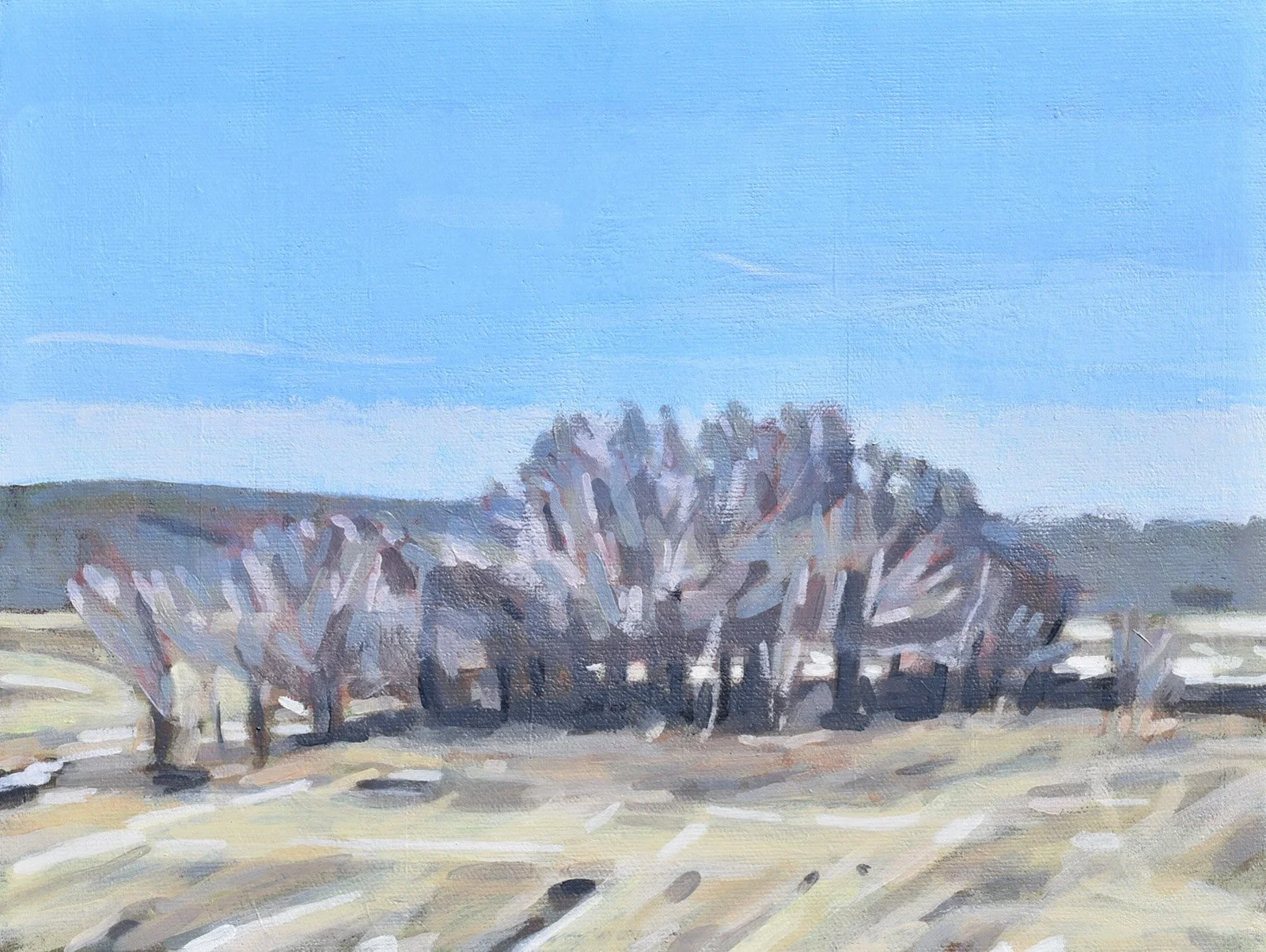 2026 Burmeister Early Spring along Trail