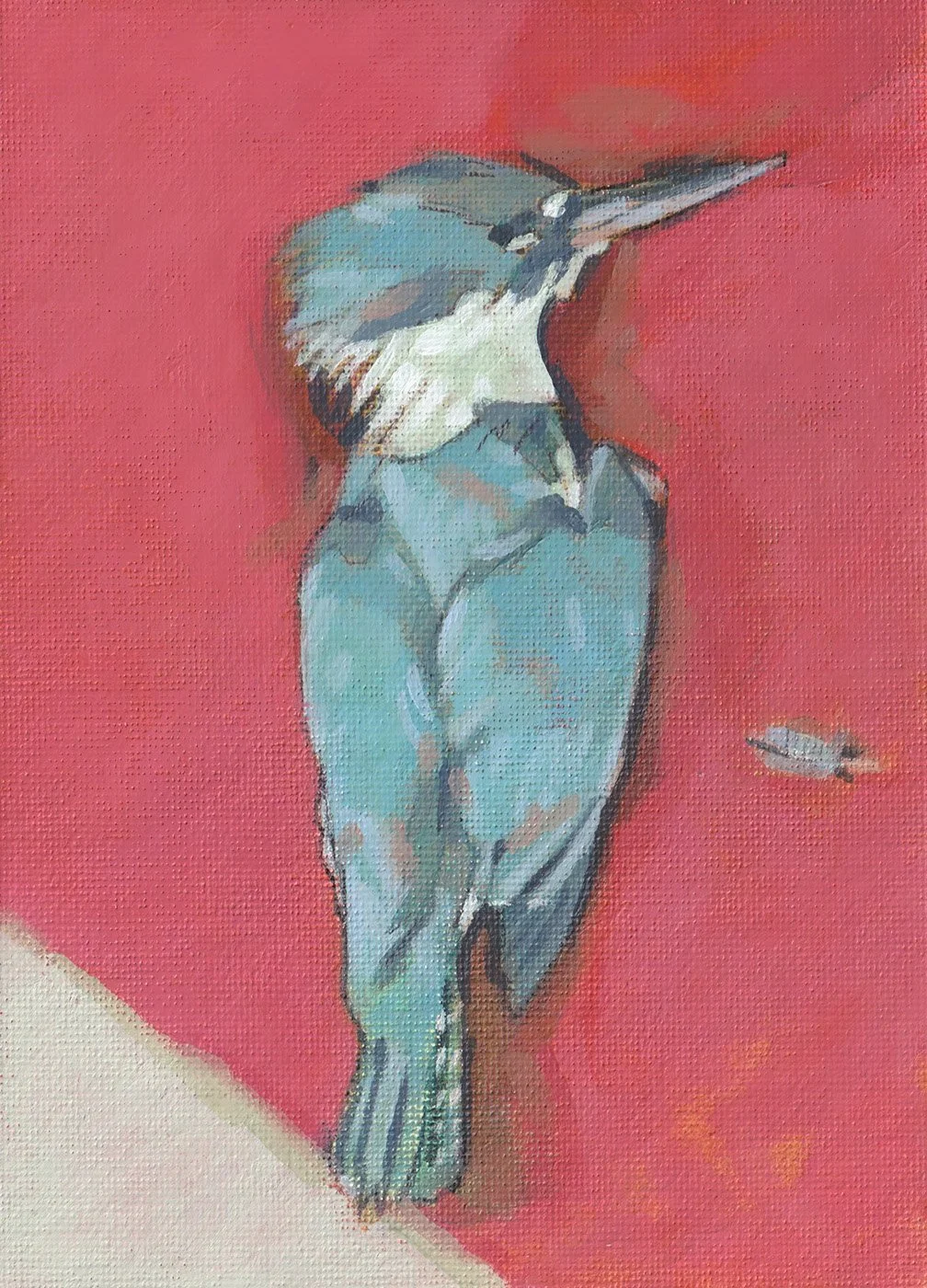 2026 Burmeister Kingfisher
