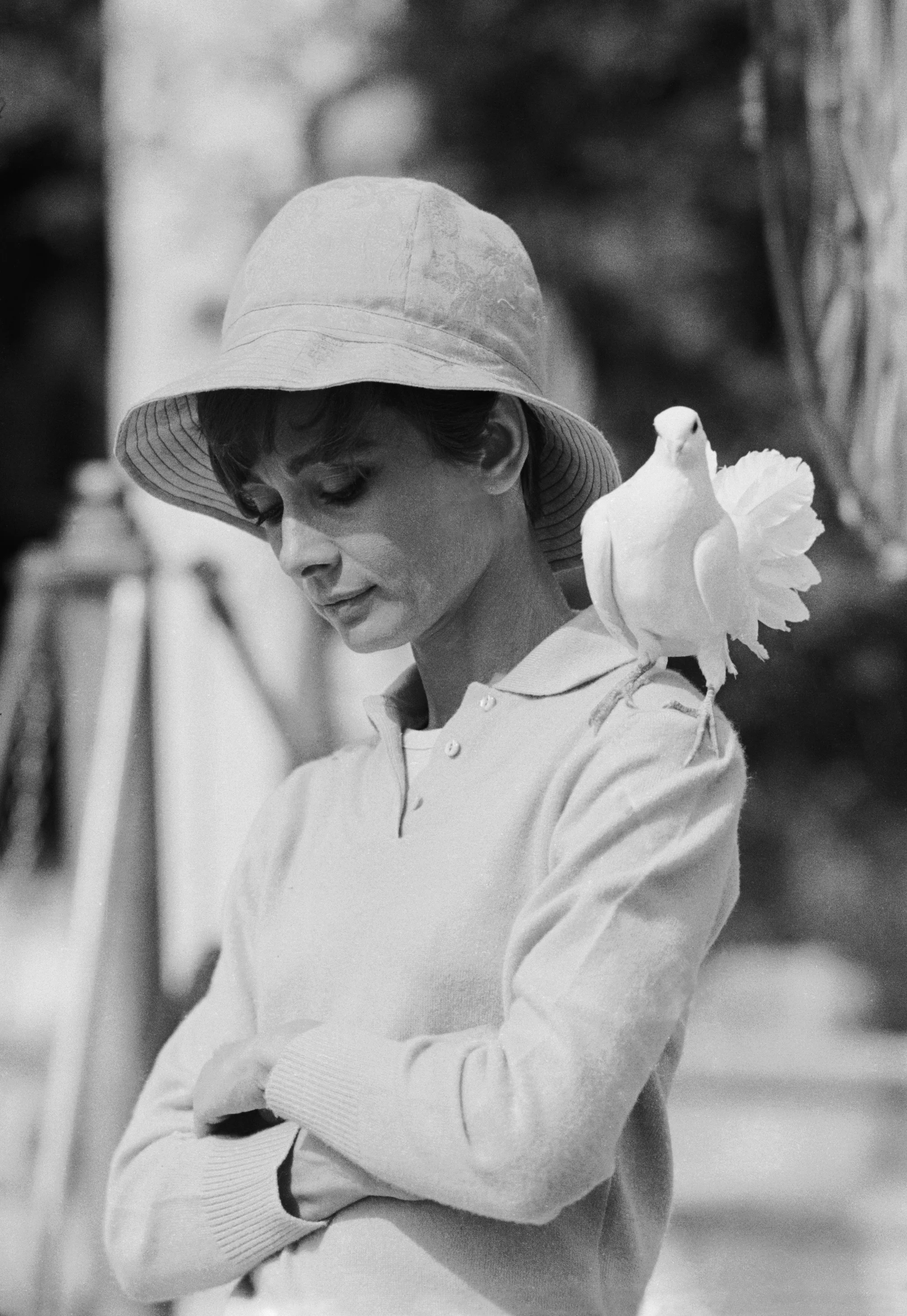 Audrey Hepburn, During Filming Of Two For The Road, 1967