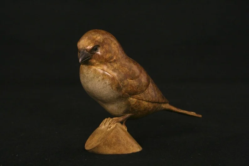 Sparrow