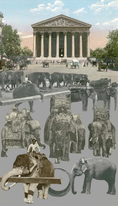 Paris Suite - Working Elephants