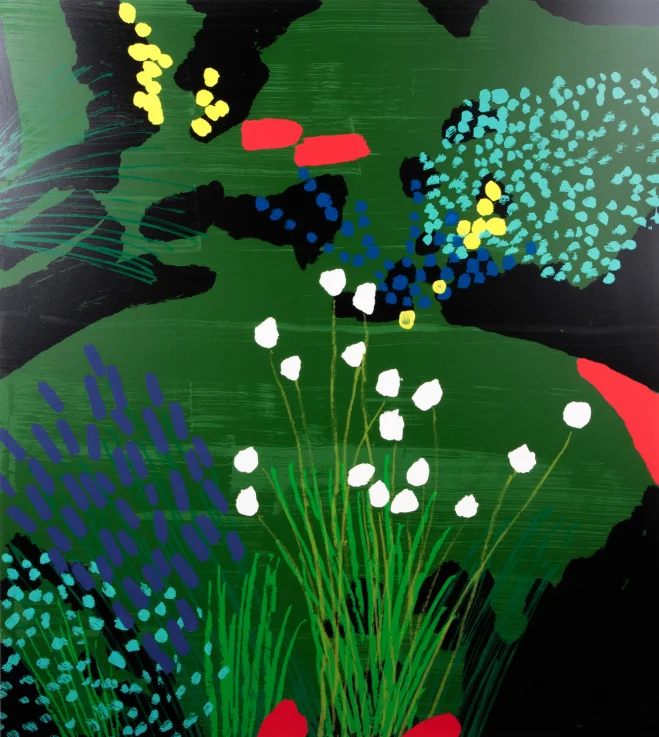 Lindheimer's Beeblossom