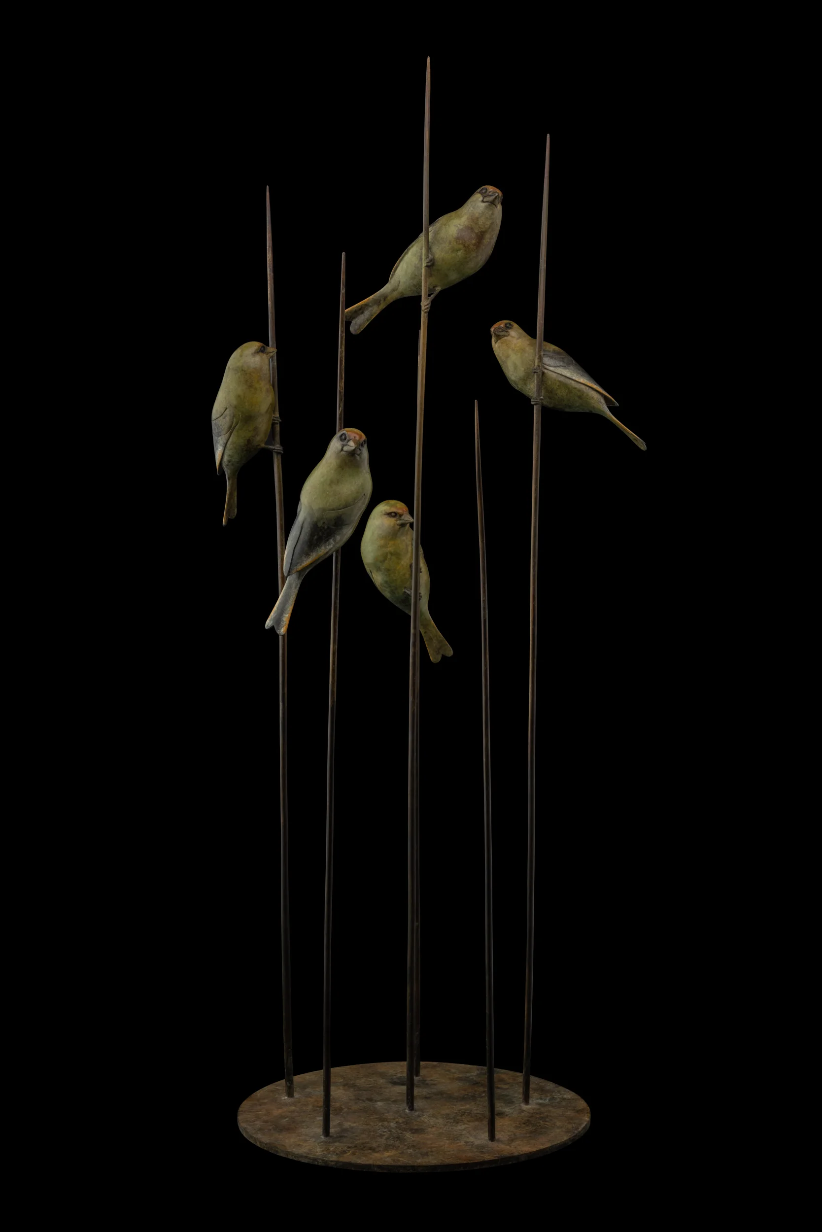 Greenfinches
