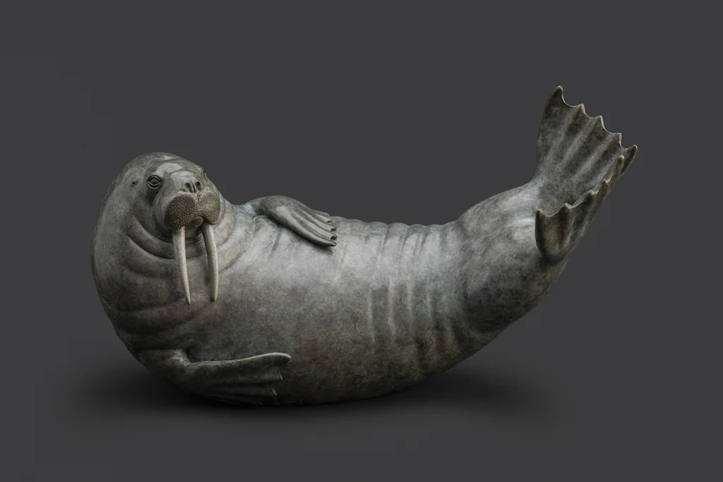 Walrus