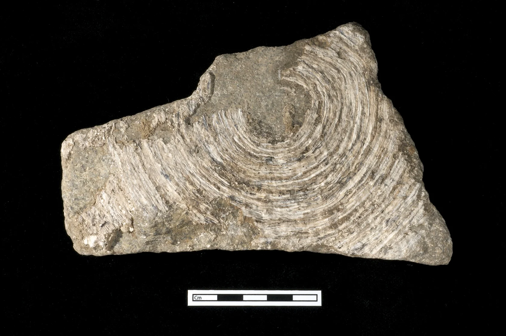 Phytolith basket impression, Çatalhöyük, Turkey.