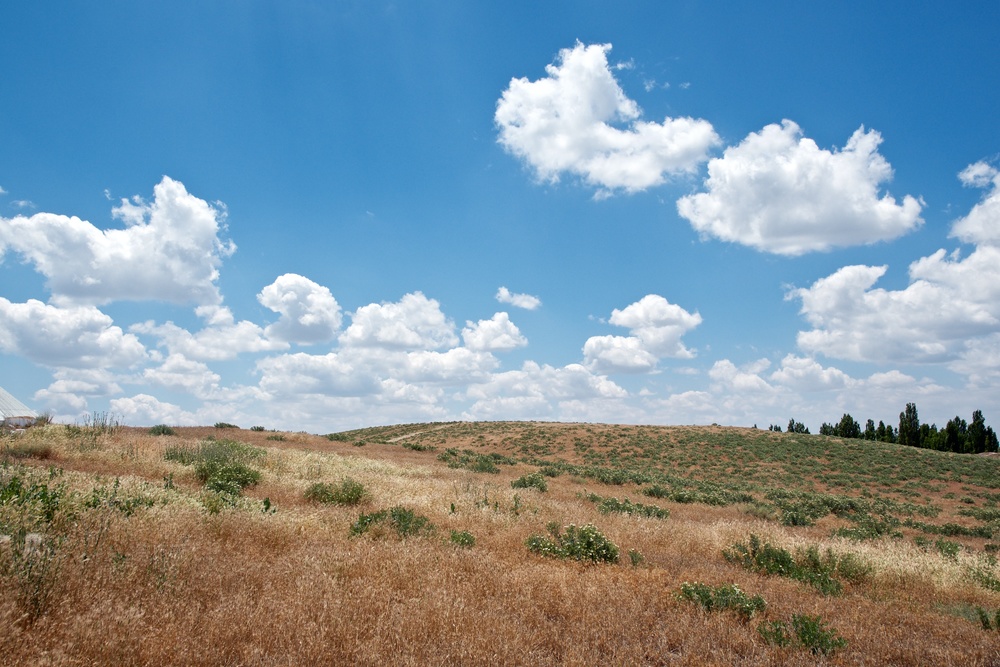  Looking south towards the higher southern East Mound at Çatalhöyük. 