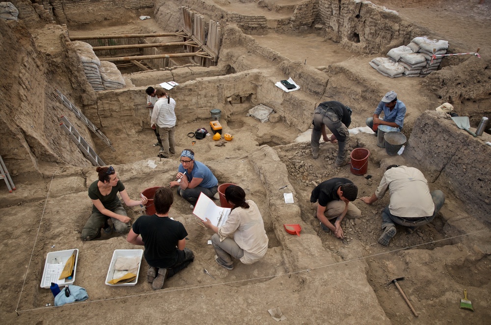 Excavation in South Area