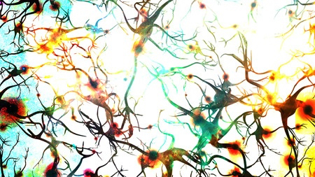 Interconnectedness: How are we connected to each other?