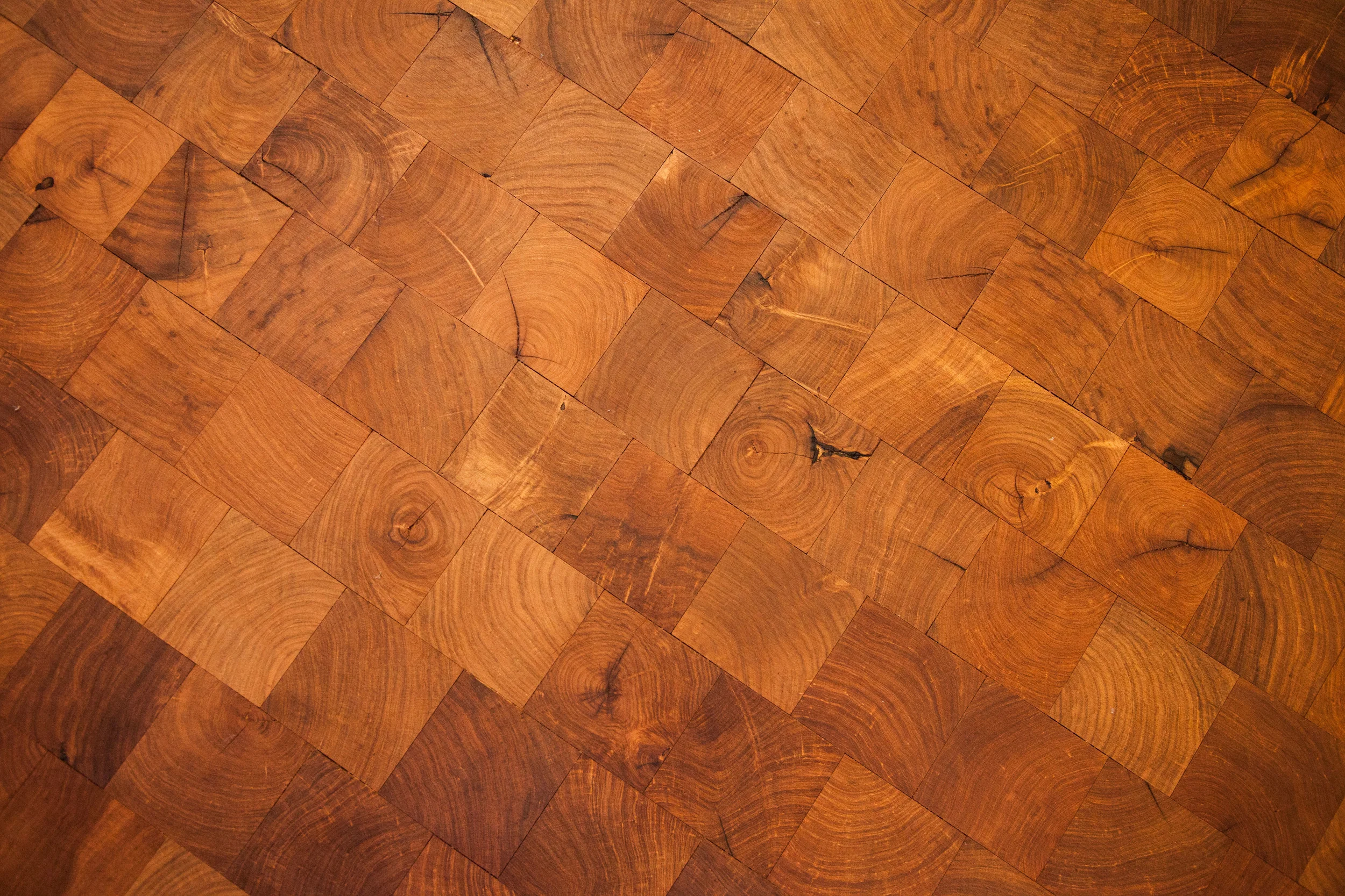 CMHF_11-12-13_23.jpg