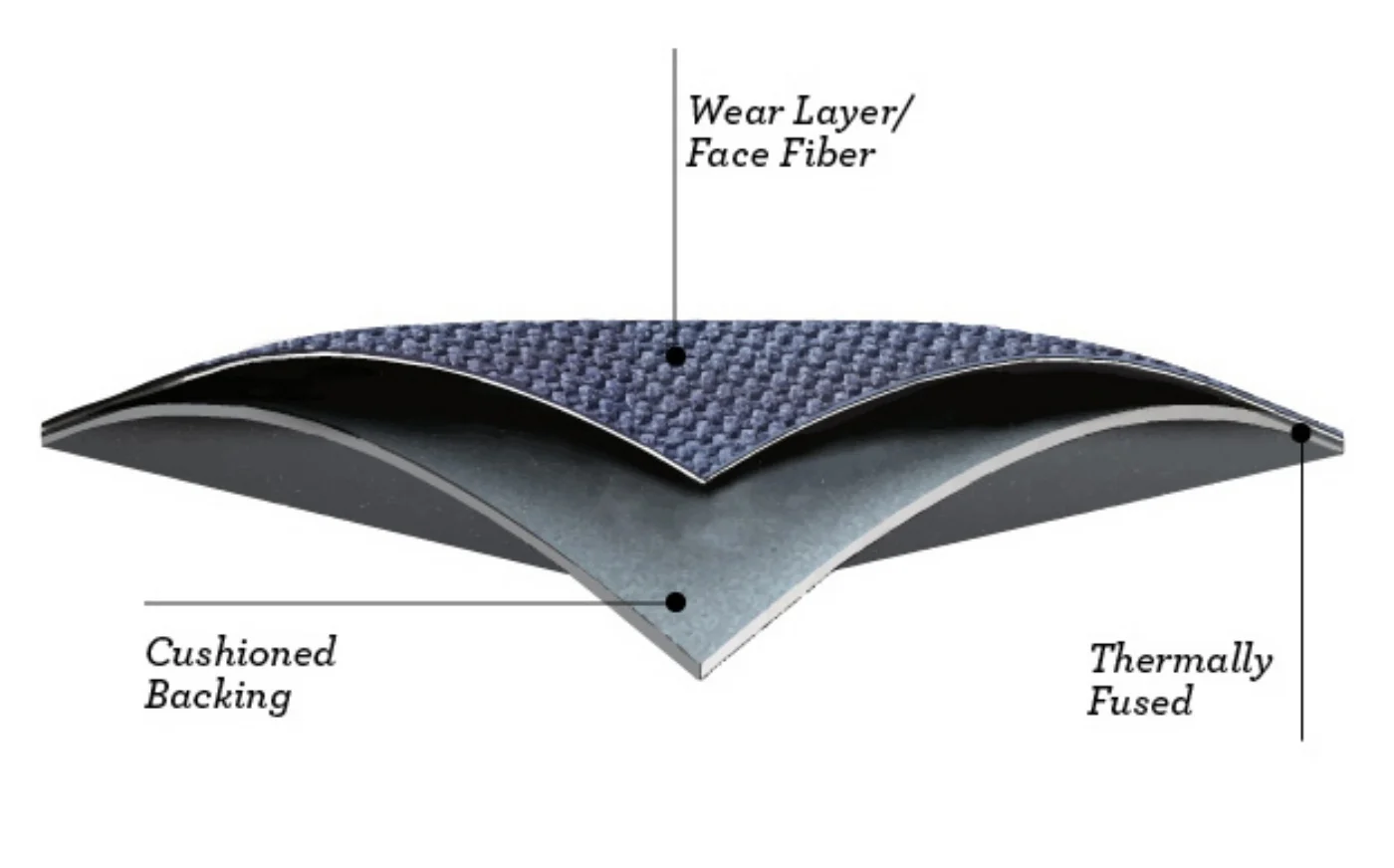 Flooring Cleaning Floor Roma