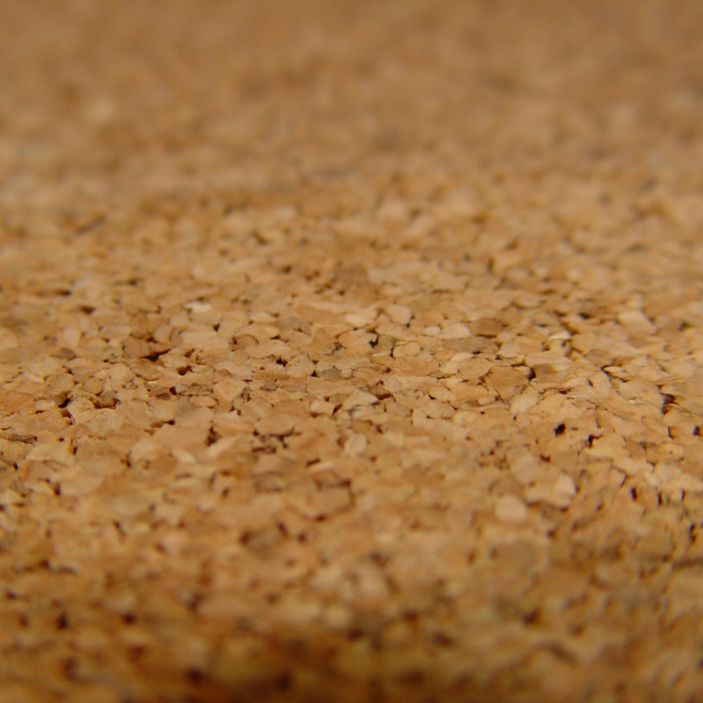 Many people don’t know about cork flooring, but it’s a great option, especially if you want to be eco-friendly! It’s also a great non-slip floor, and great for spaces for the elderly!