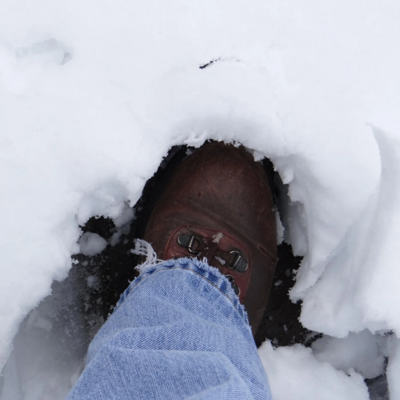 Nashville_WinterHardwoodFlooring.jpg