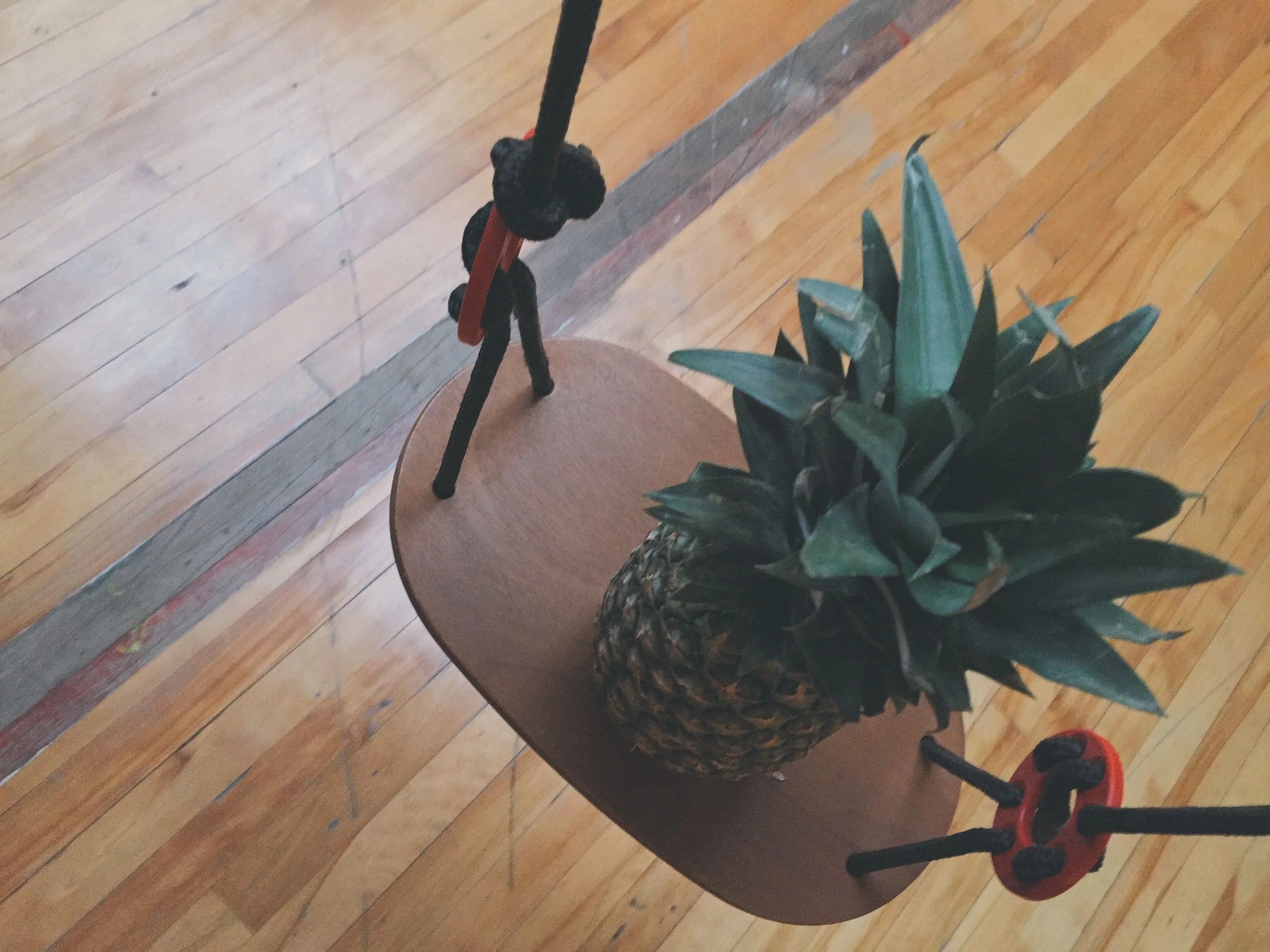 So often in the world of flooring we get caught up in the same old, same old. Most people usually start with either residential carpeting (if they are tackling their home) or the usual hardwoods, then branch out in things like vinyl plank flooring and linoleum plank flooring if they don’t like what they find. But, for those of you in the Nashville and Middle Tennessee area, there is another option. It combines the look and feel of a nice hardwood with the comfort and ease under your foot that carpeting gives you. “This cannot be!” you might cry, but then you have revealed that you have never heard of the small intersection of these worlds: the sphere of softwoods. The two big materials in this area are cork and bamboo. Now, bamboo has been used as a flooring material for centuries in certain parts of the world, thanks to it being local. However, we live in a globalized society and everything is available, especially if you know the professionals here at Ozburn-Hessey , who are capable of getting almost any kind of flooring you desire. A Renewable Kind of Flooring The main thing about cork flooring , the big selling point, is its renewability. The way the material is harvested leaves the tree alive and intact, so the manufacturers can return to it for as long as the tree stays alive. It’s the reason the flooring material has seen a rise in popularity in recent years. But it is not the only reason it’s a popular, albeit a narrow, choice. For one thing, it acts as a natural insulator, both in terms of sound and temperature. For another thing, it is extremely hypoallergenic. For these reasons, combined with its natural buoyancy, it is a wonderful choice for a child’s room, since it will keep the noise down and cut down on any injuries that might occur due to horseplay. It is a breeze to install as well, although the professionals here at Ozburn-Hessey are here to help with any flooring installations. Don’t Get Bamboozled by this Flooring Bamboo offers many of the same benefits that cork does, although it is a little less renewable, since it still involves the cutting down of trees. Bamboo trees do grow back a lot quicker than pretty much every tree, especially oak or other traditional hardwood trees, which can take decades to reach maturity. Bamboo, on the other hand, only takes a couple of years until it is ready to be harvested. Unlike cork, bamboo is also resistant to water damage, and is one of the easiest floors to maintain, just requiring a regular sweeping or vacuuming. Additionally, despite its reputation, bamboo is a very sturdy material. It can handle a beating a lot better than most hardwood floors. It is easy to get caught in the bubble of the flooring world and stick with the same basic flooring materials. If that doesn’t sound right for your home or business, then you need to talk to the professionals here at Ozburn-Hessey about cork and bamboo flooring . They are a lot better for the world than pretty much all of the other materials, and they add a certain otherworldly quality. Make sure to contact Ozburn-Hessey so we can help you get started!