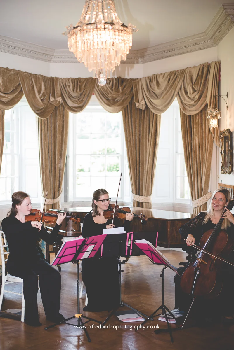 string quartet for wedding in derbyshire