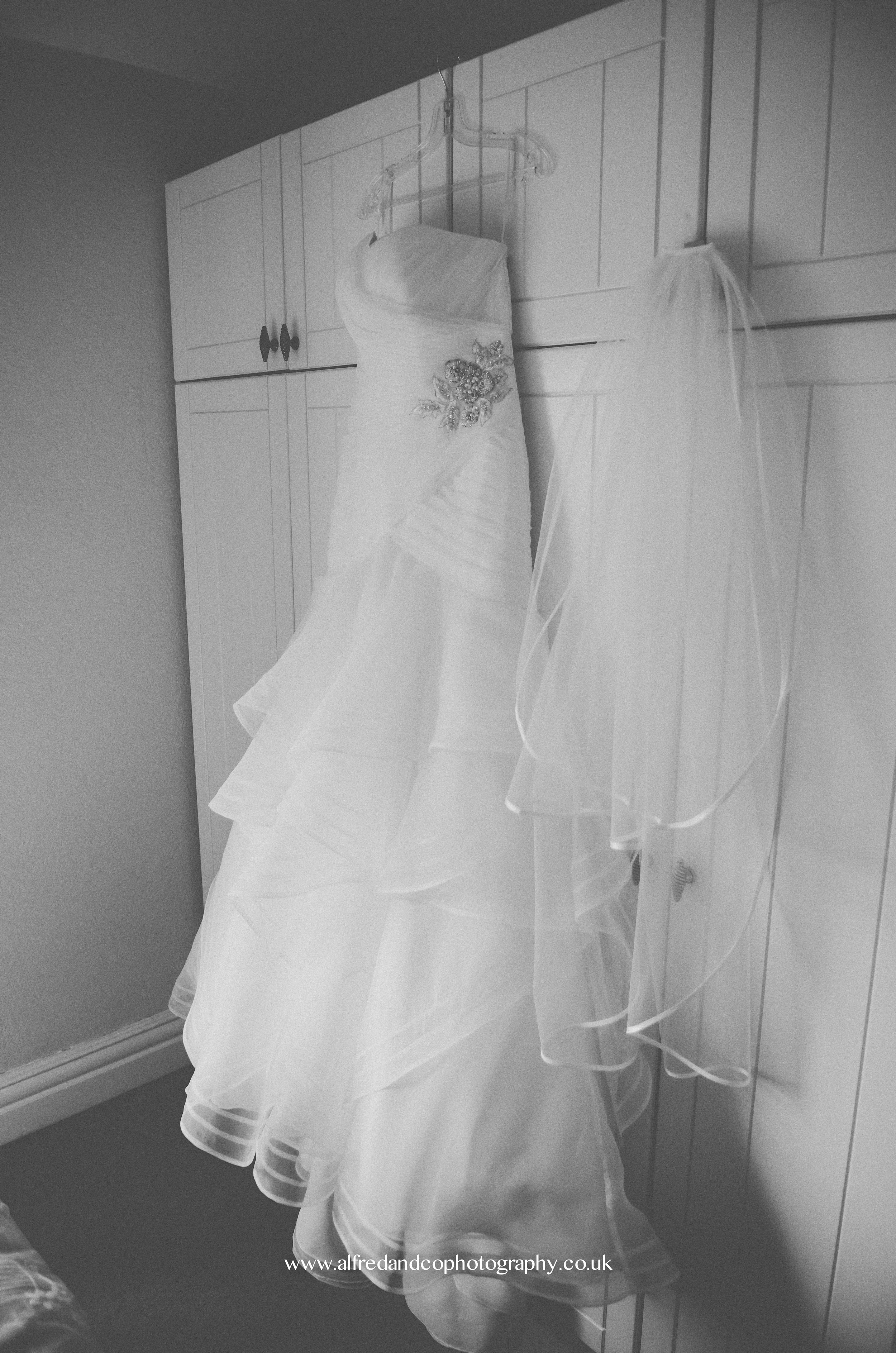 DEW_326534795.jpg