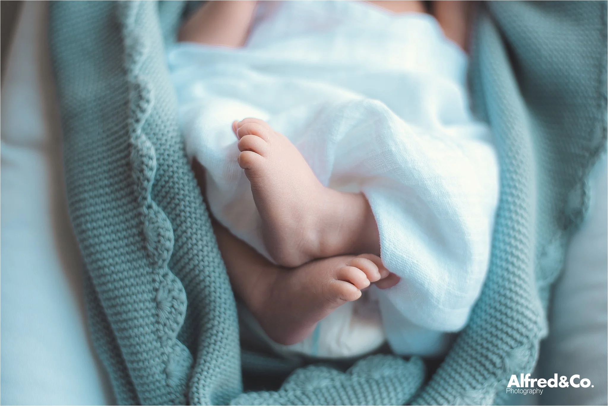 New born photographer Clitheroe