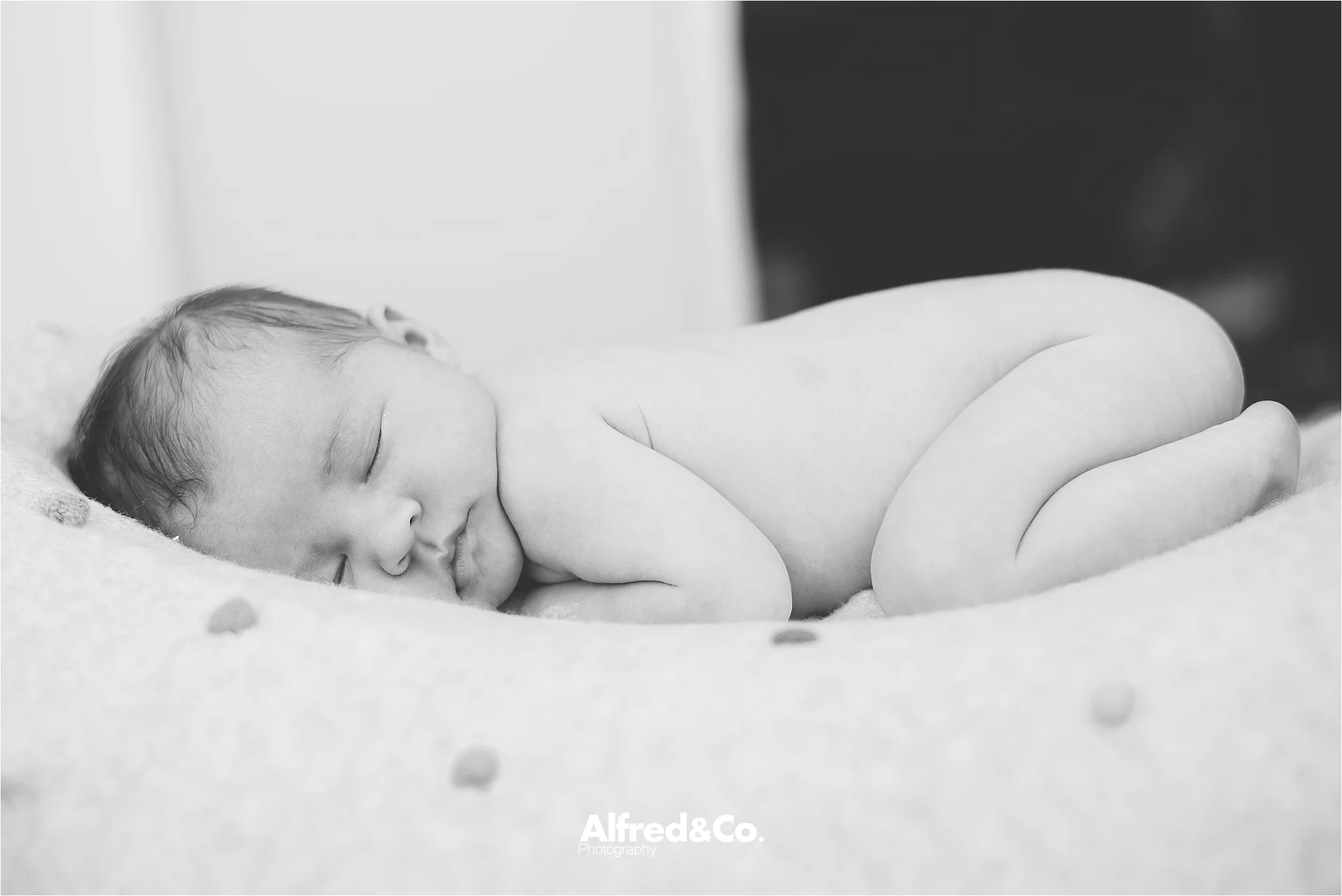 ribble valley new born photographer