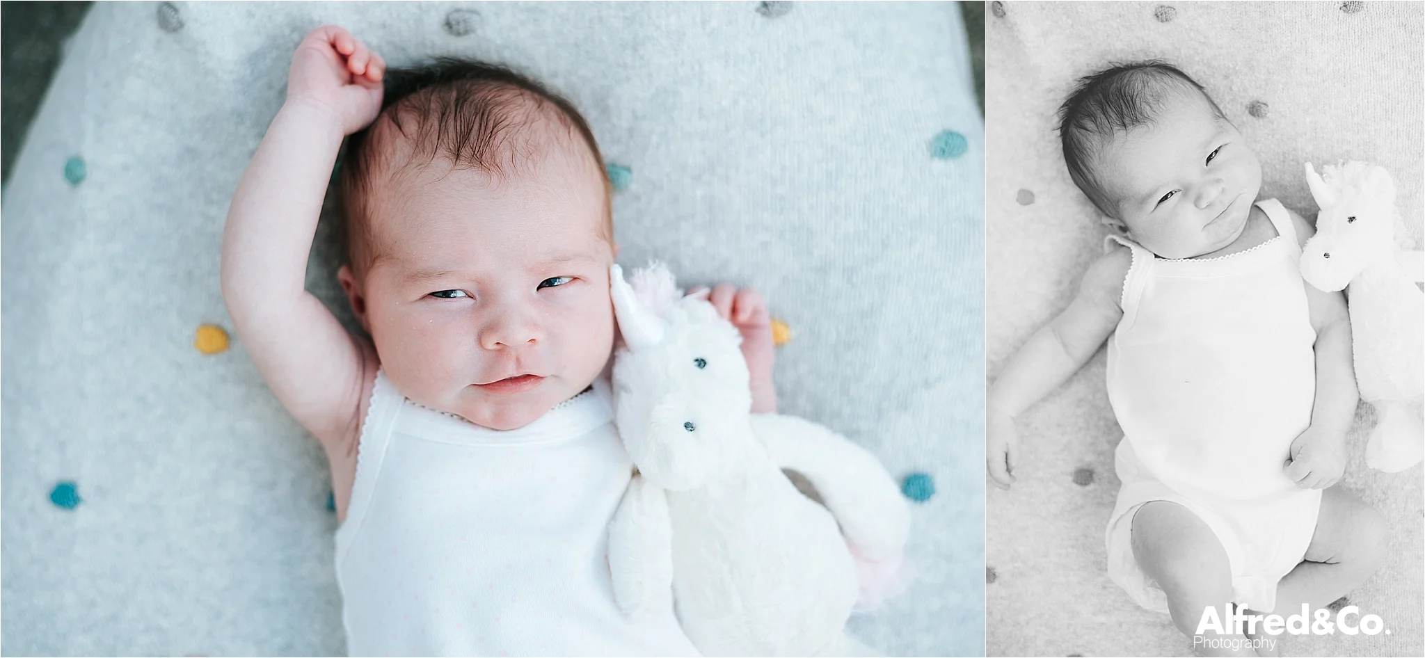 baby photography lancashire