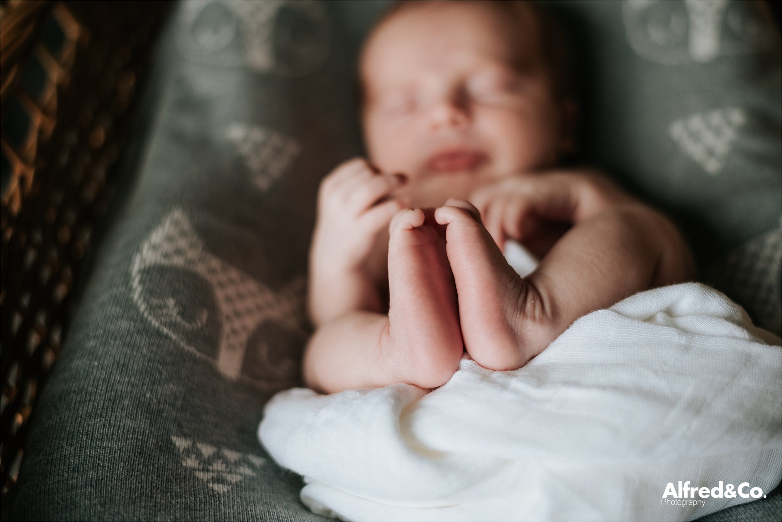 Baby boys feet