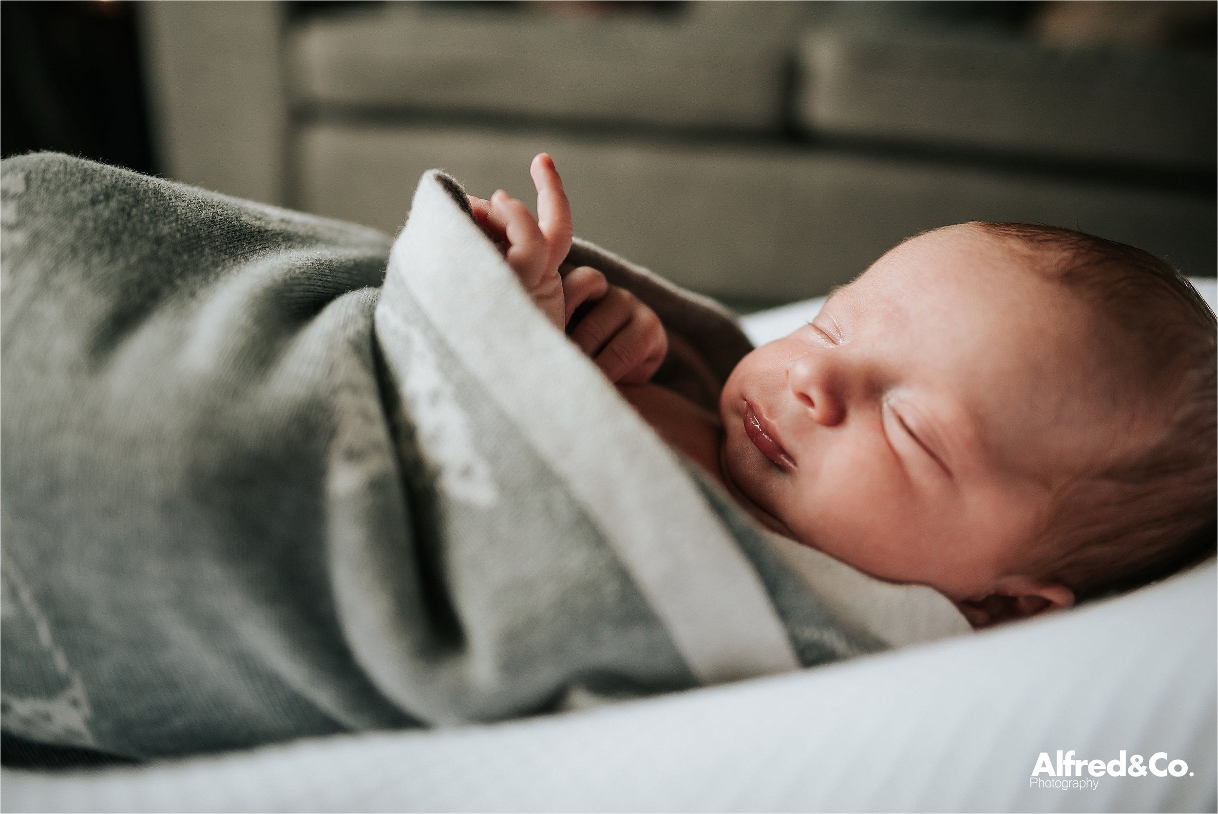 photoshoot of new born baby boy 