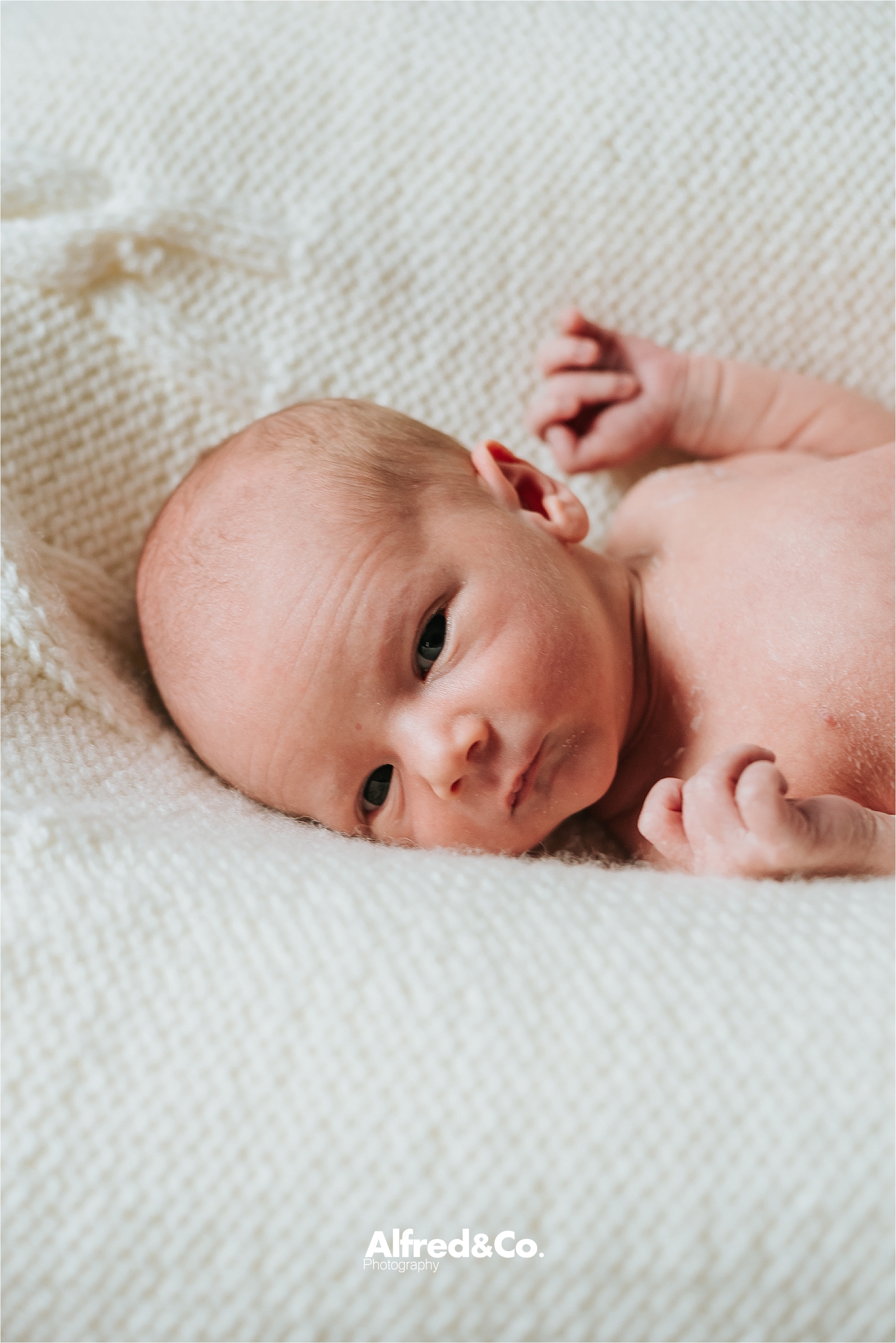 Newborn baby boy14.jpg