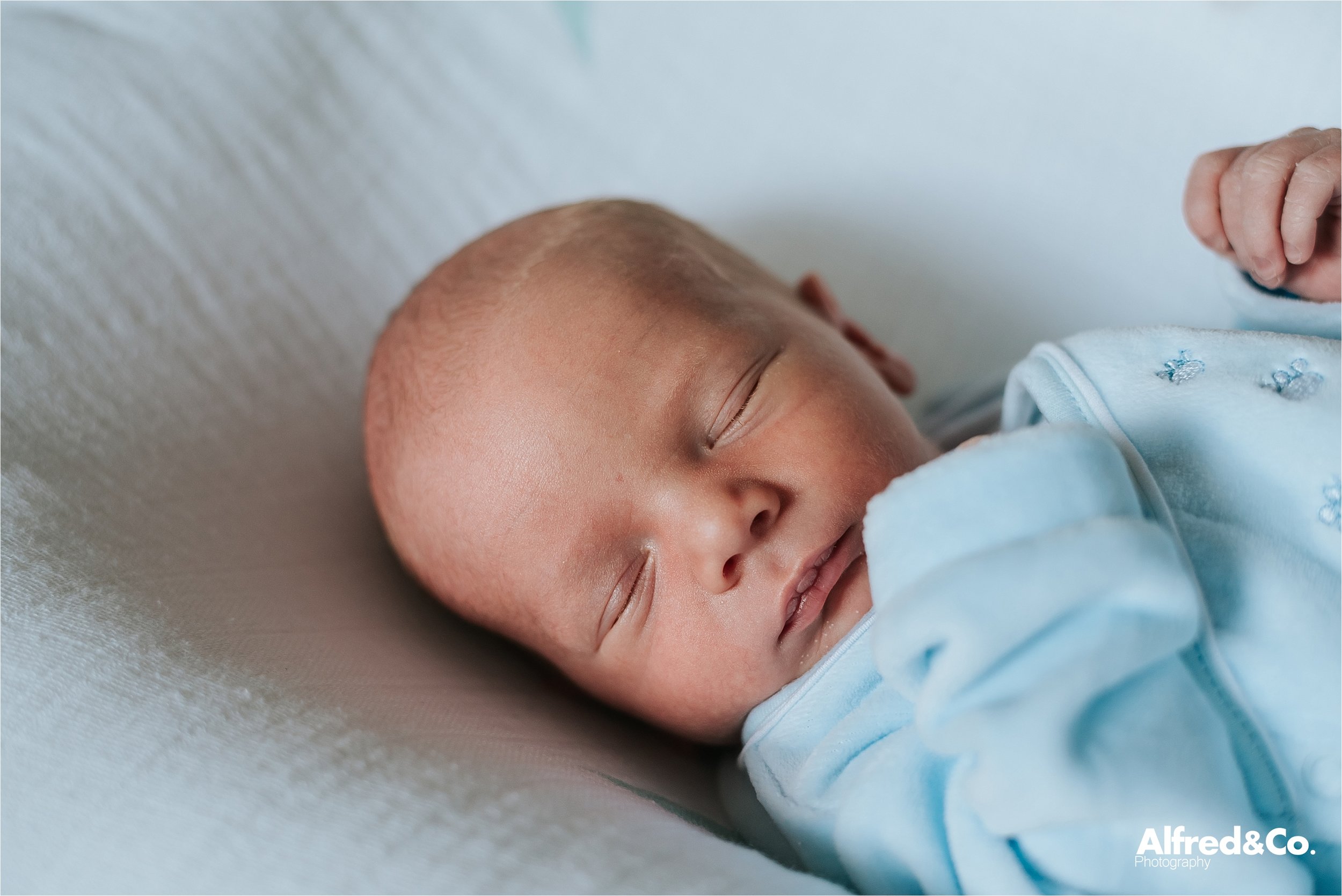 Newborn baby boy30.jpg