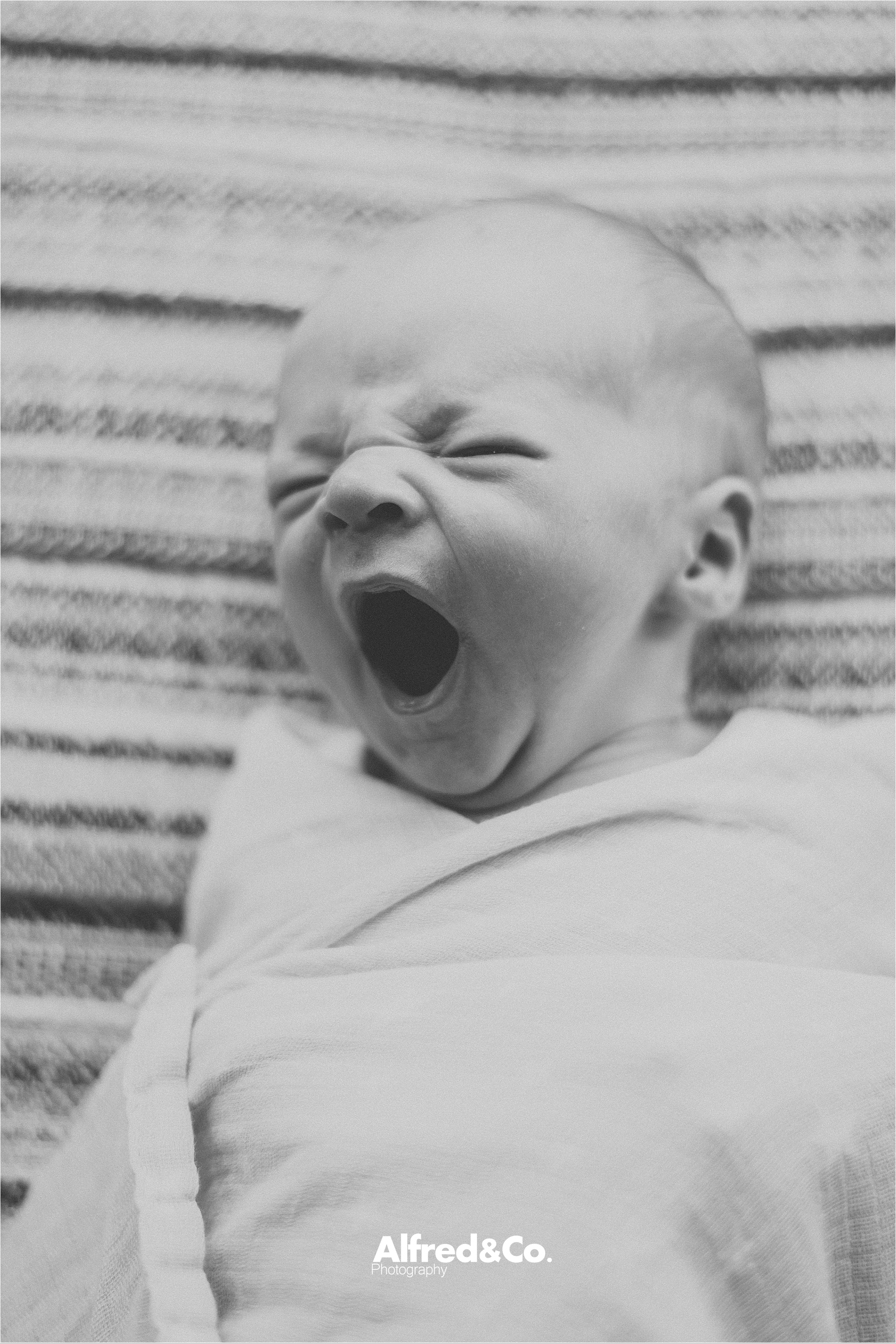 Newborn baby boy manchester32.jpg