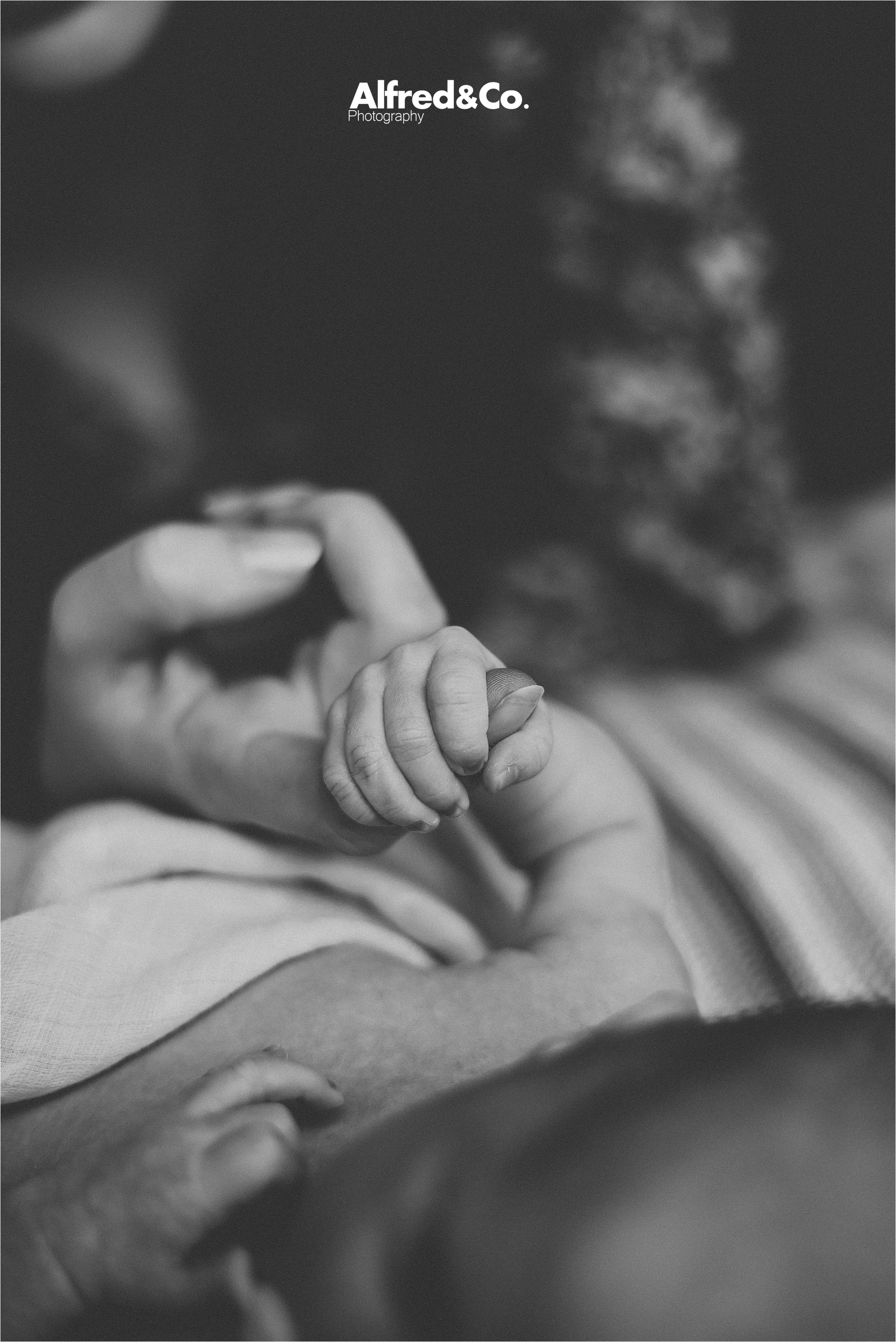 Newborn baby boy manchester41.jpg