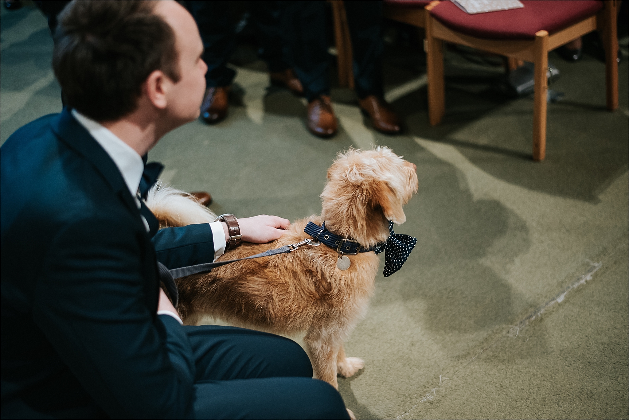 dog waiting at the top of the aisle in the wedding