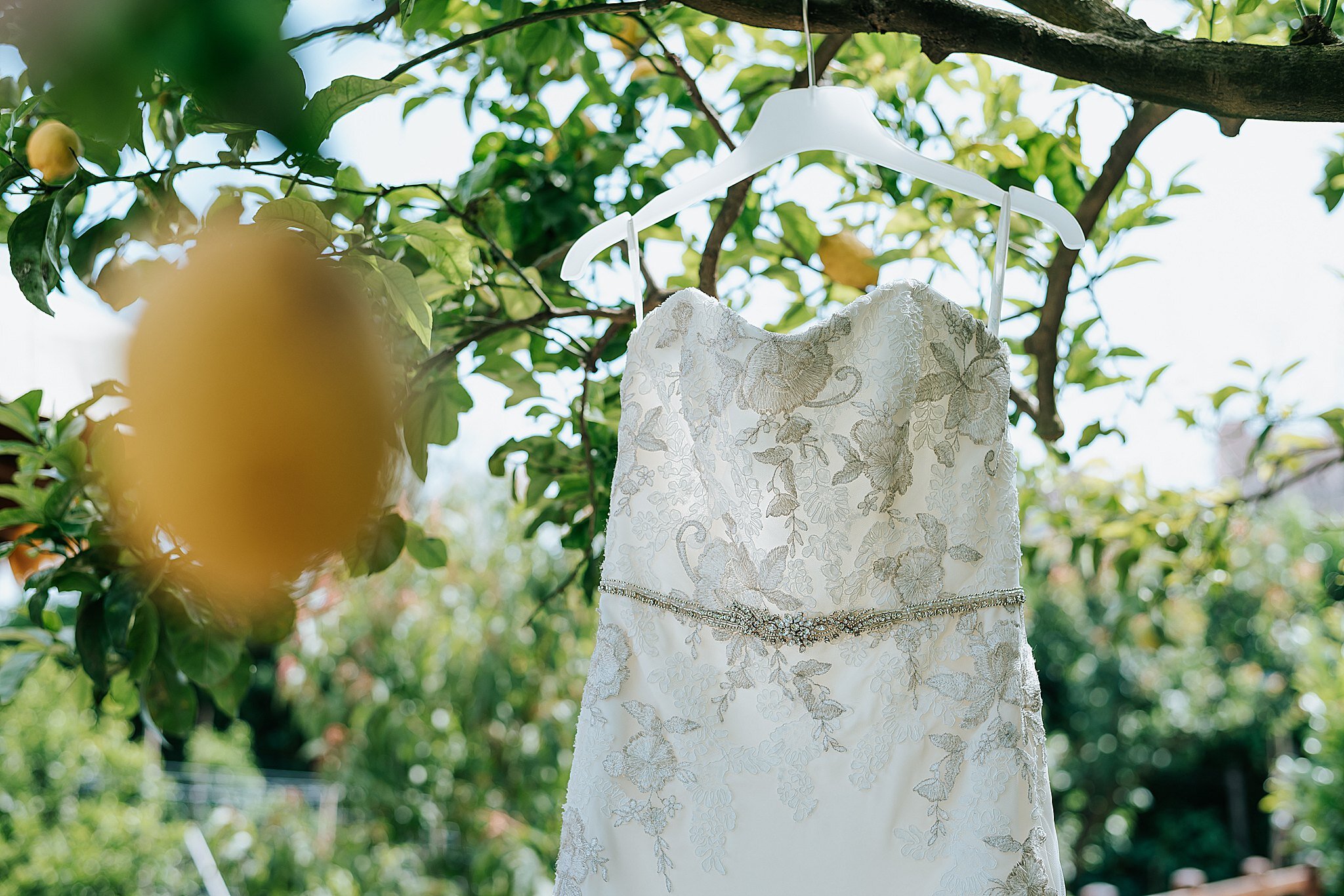 wedding dress hung in lemon groves 