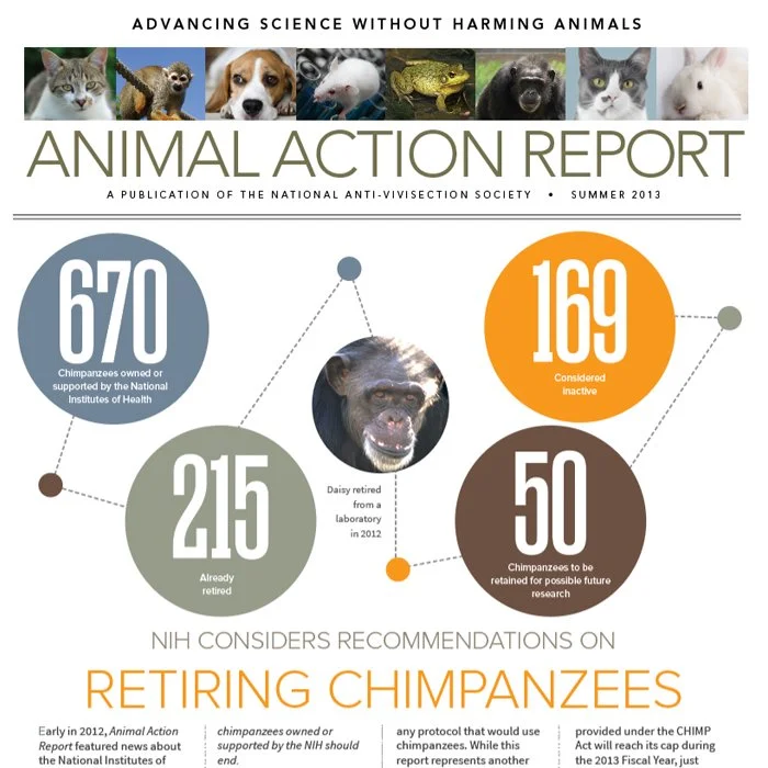 01 SQ NAVS Chimpanzee cover.jpg