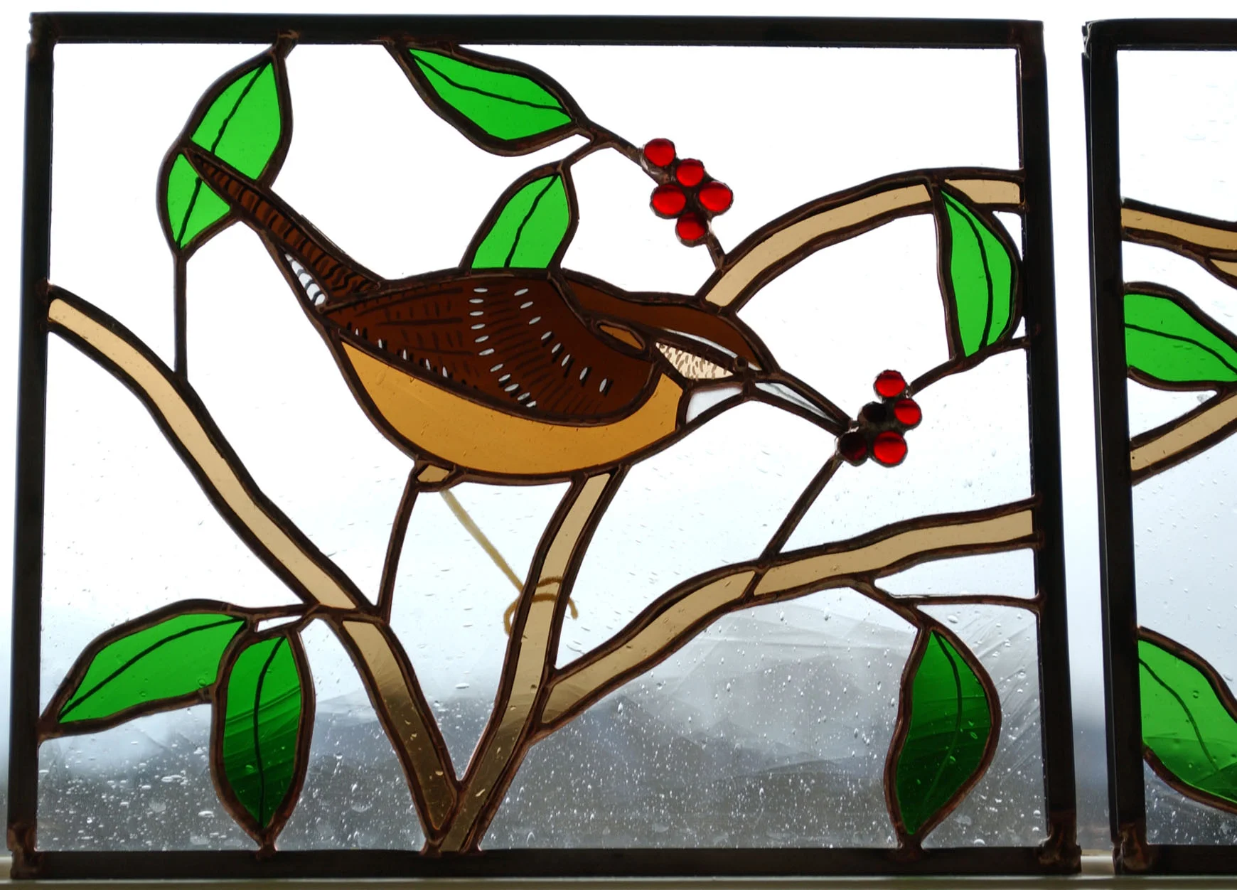 CarolinaWren.jpg