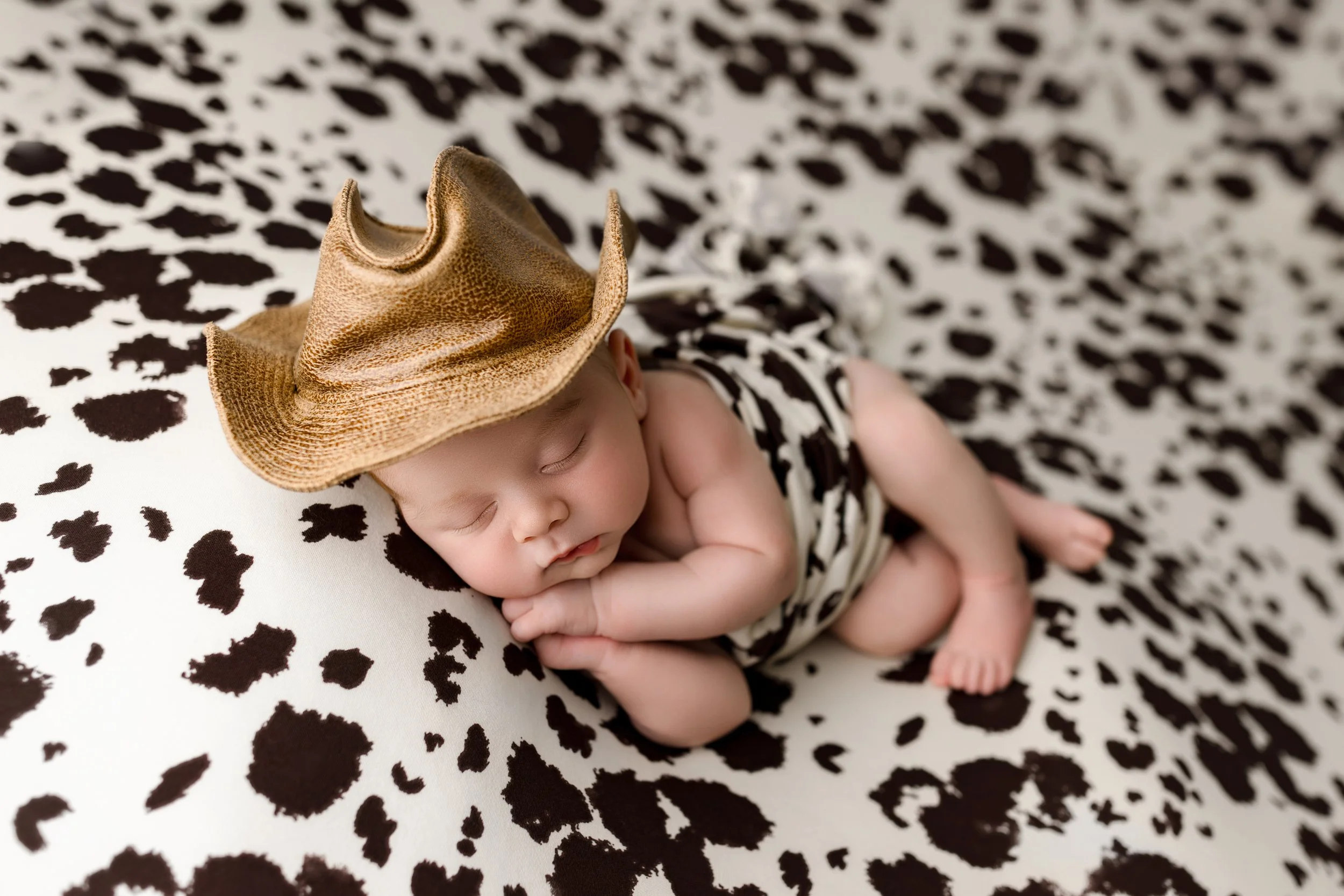 cowboy cow print, cowboy hat maryland newborn baby photographer
