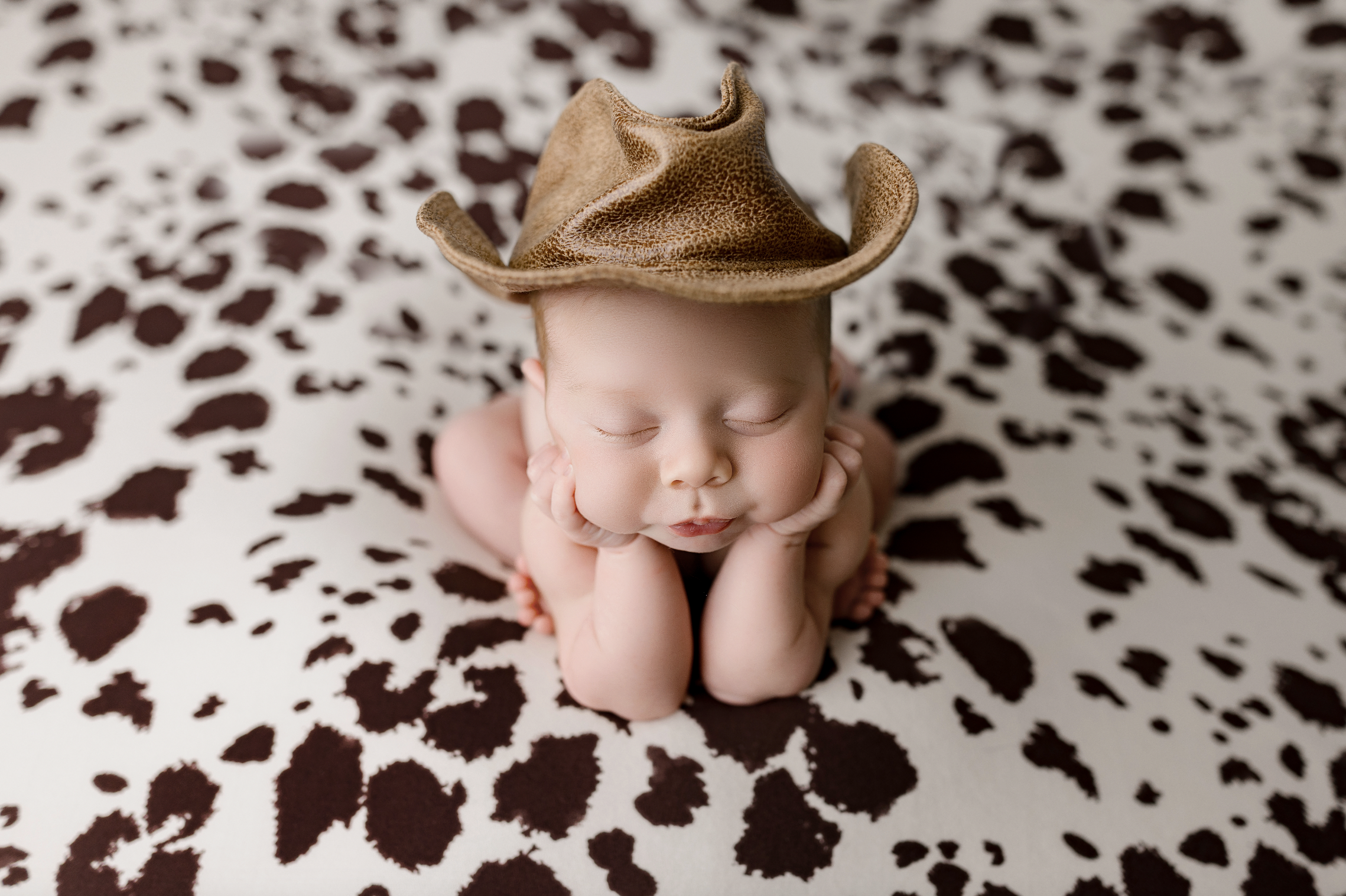 Harford county maryland newborn photographer cowboy froggy session
