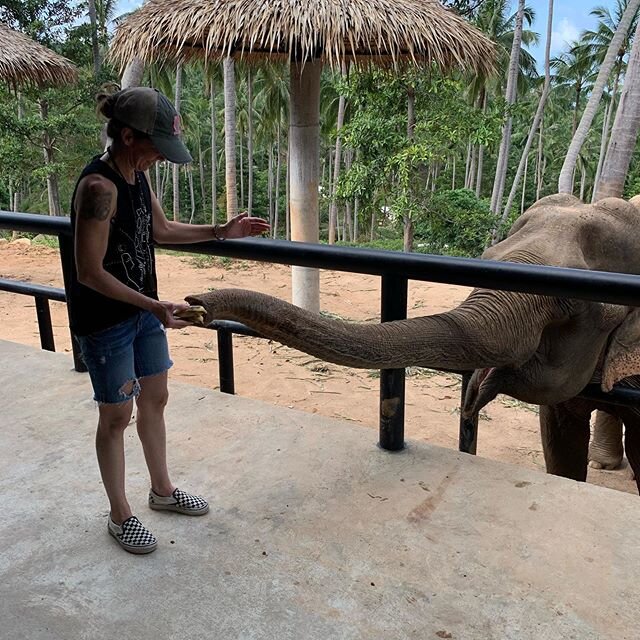 So, this happened.  Feeling super grateful for moments like these.  Seizing all the moments these past two weeks with Dimitra Yoga in Bali and Thailand.  What adventures are awaiting you?