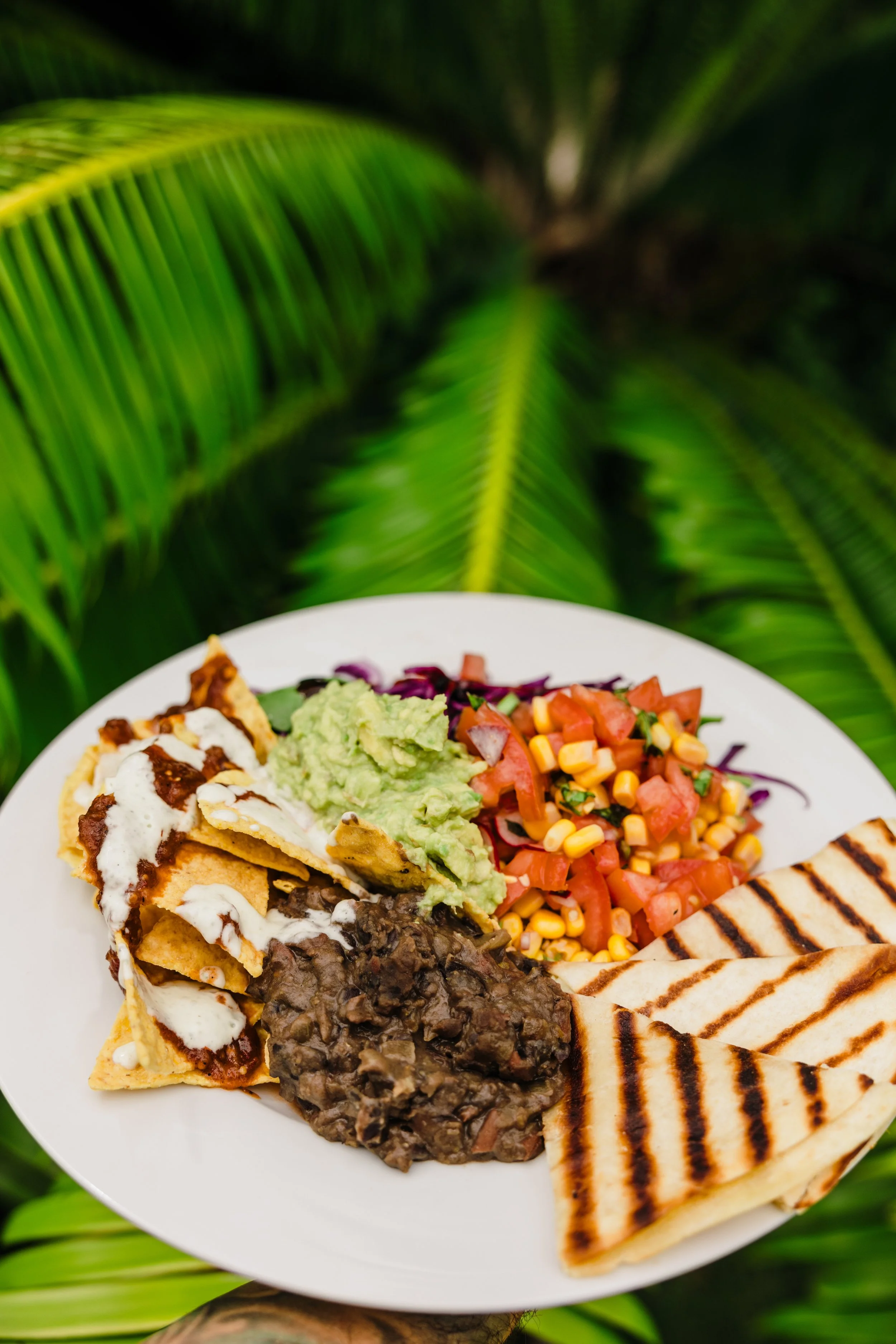 SISTER SURF RETREAT PHOTOS-275.jpg