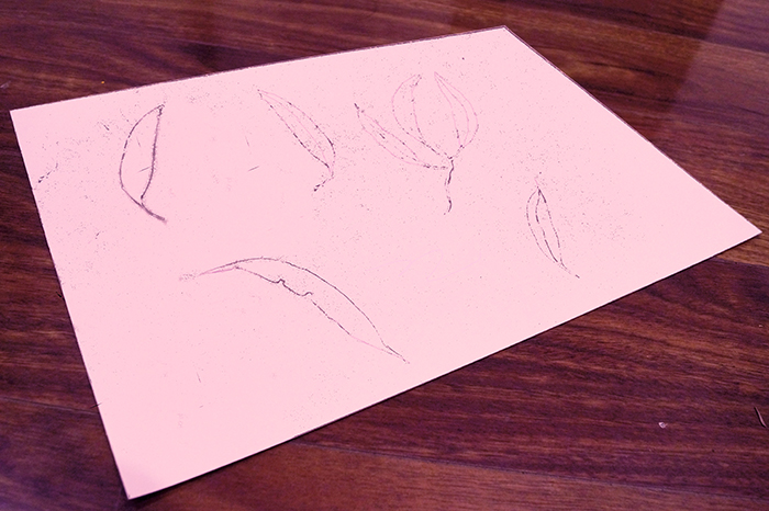 I've picked out a few of my favorite leaves and lightly sketched them out on the page, making sure to capture all of their asymmetries and rough edges. I wouldn't worry about drawing the 'perfect' leaf -- even if there were such a thing, it doesn't make for a very thought provoking composition. Damaged leaves are complex and challenging subjects that turn out to be really interesting. 