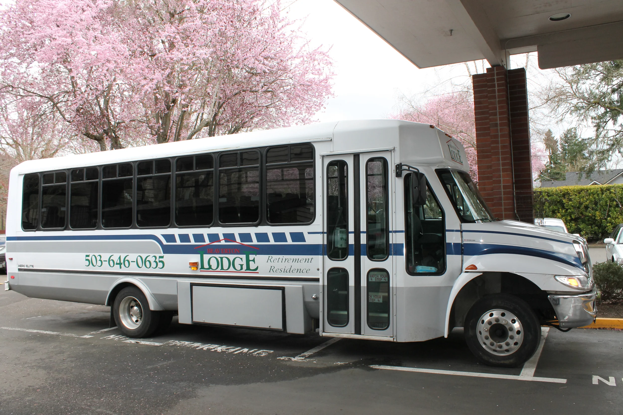 bus.jpg