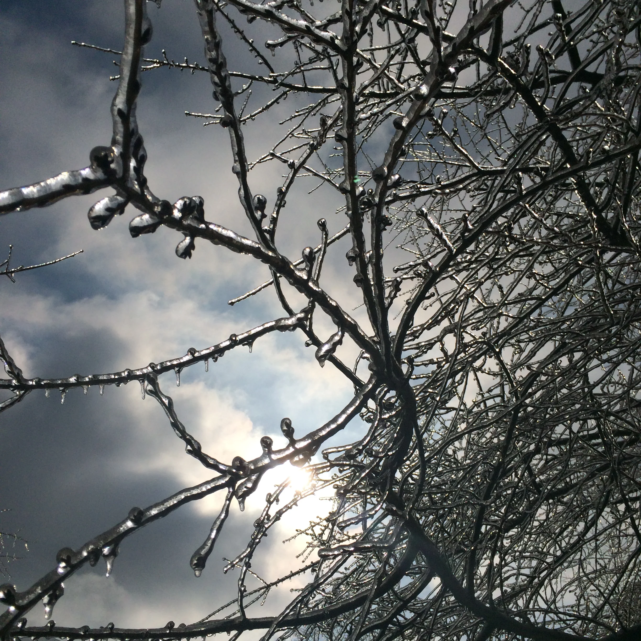 in the midst of winter