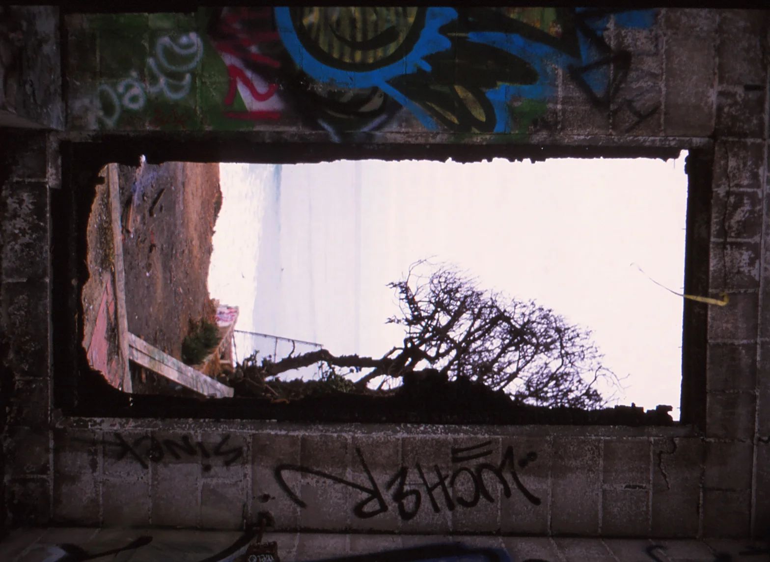 canonflex-velvia50f_0006.jpg