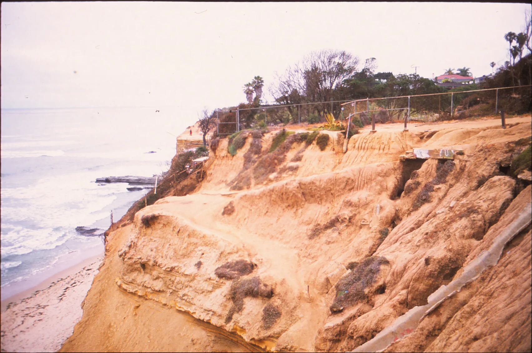 canonflex-velvia50f_0018.jpg