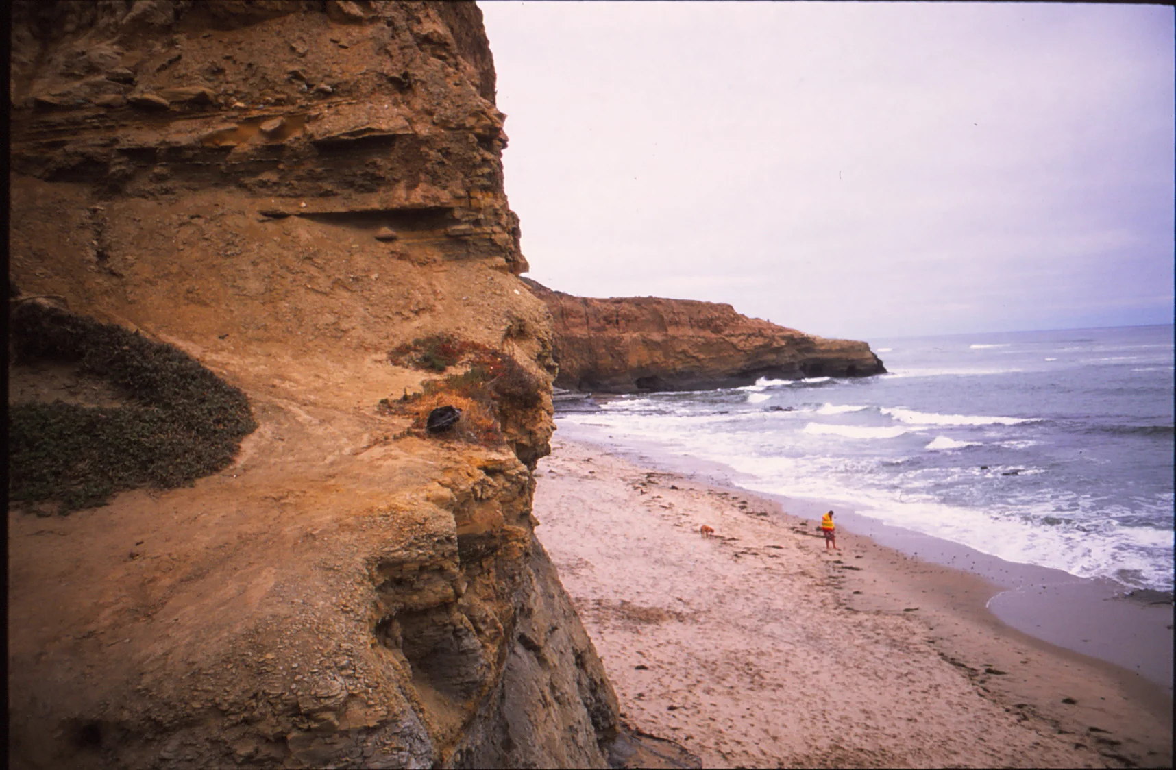 canonflex-velvia50f_0020.jpg