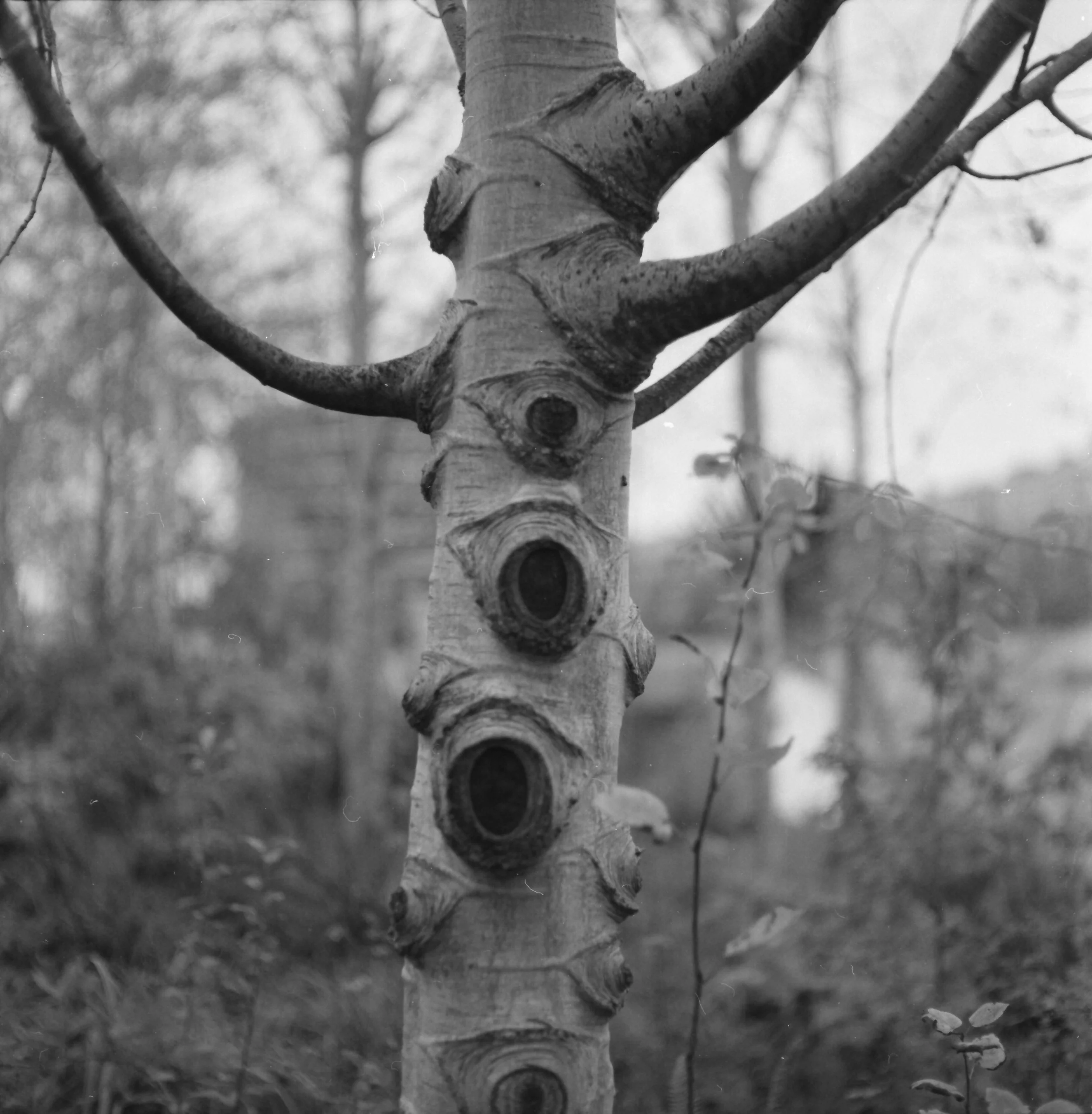 SEA3-PortraBW_0017bw.jpg