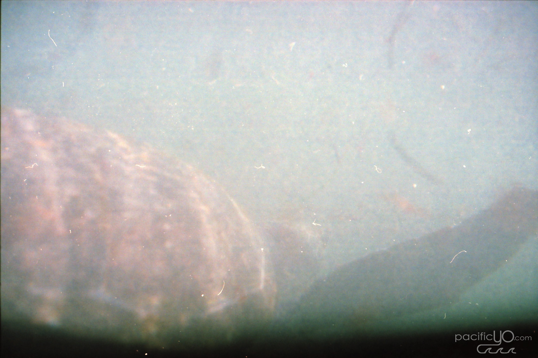 Nikonos-Portra_0018a.jpg