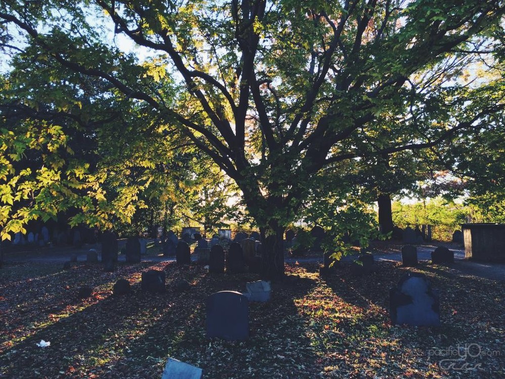  Old Burial Site in Salem, MA 