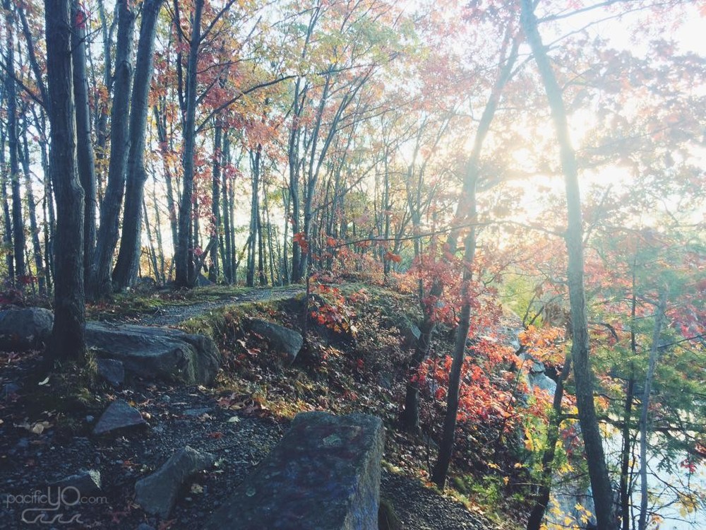  Trail to the Quincy Quarries 