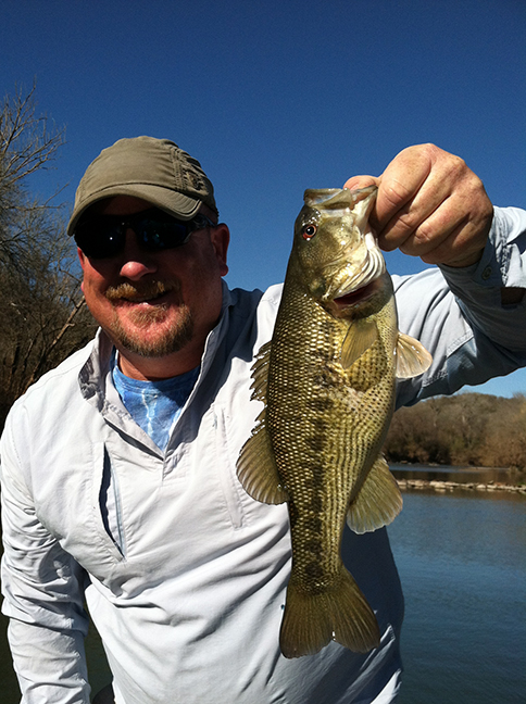 tyler_bass_01_72dpi.jpg