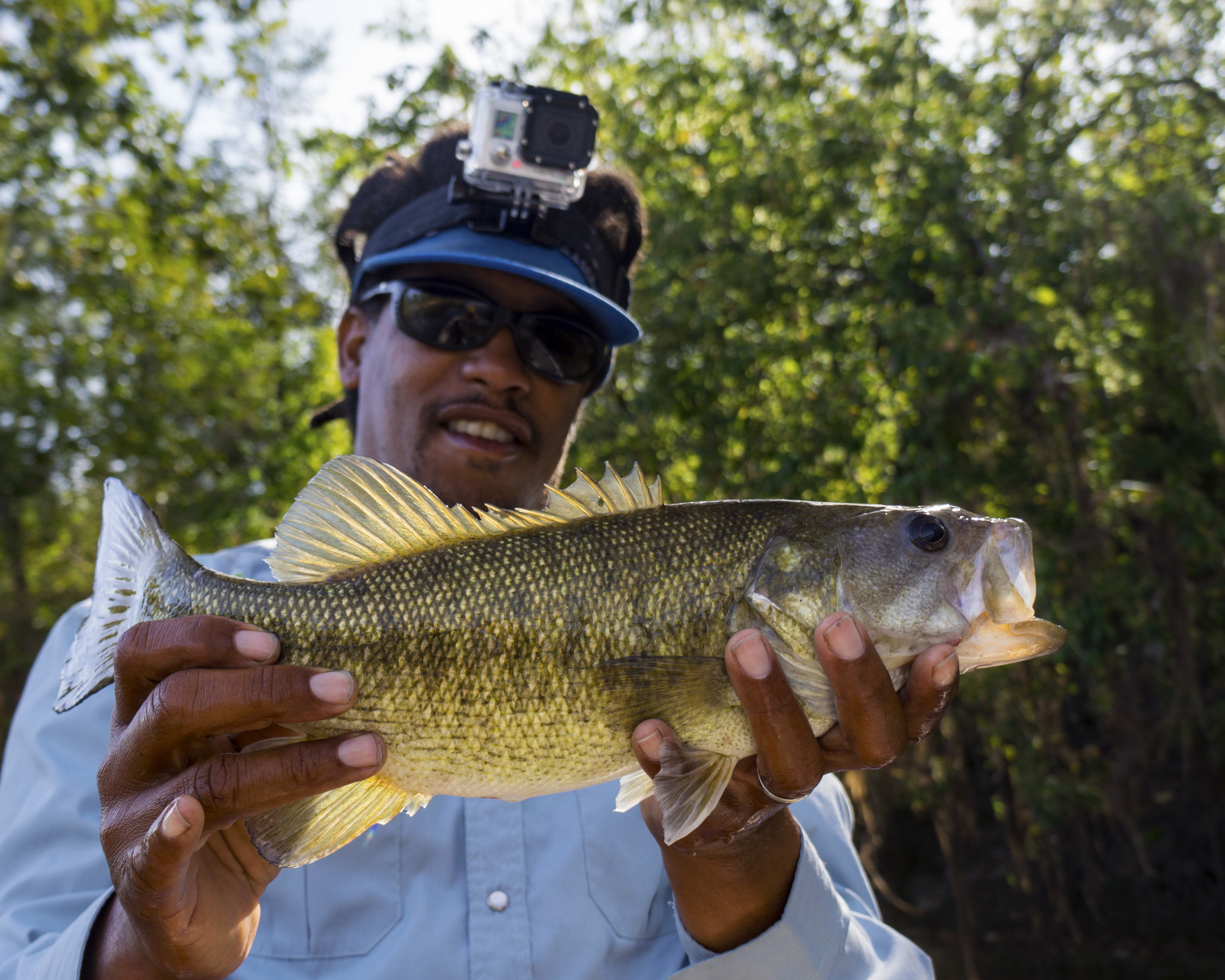 Bass on the fly — Blog — All Water Guides